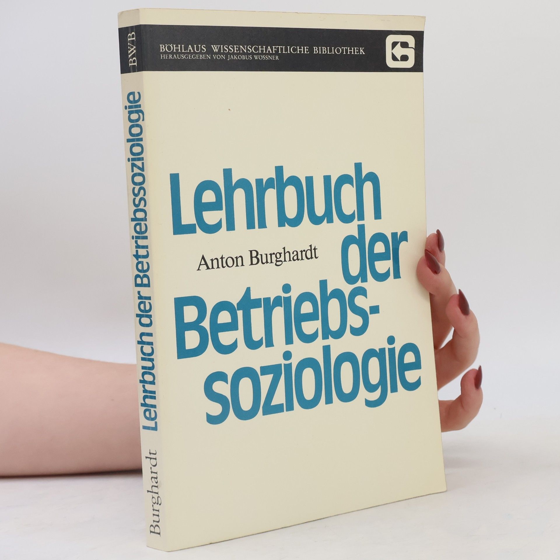 Anton Burghardt Lehrbuch der Betriebssoziologie