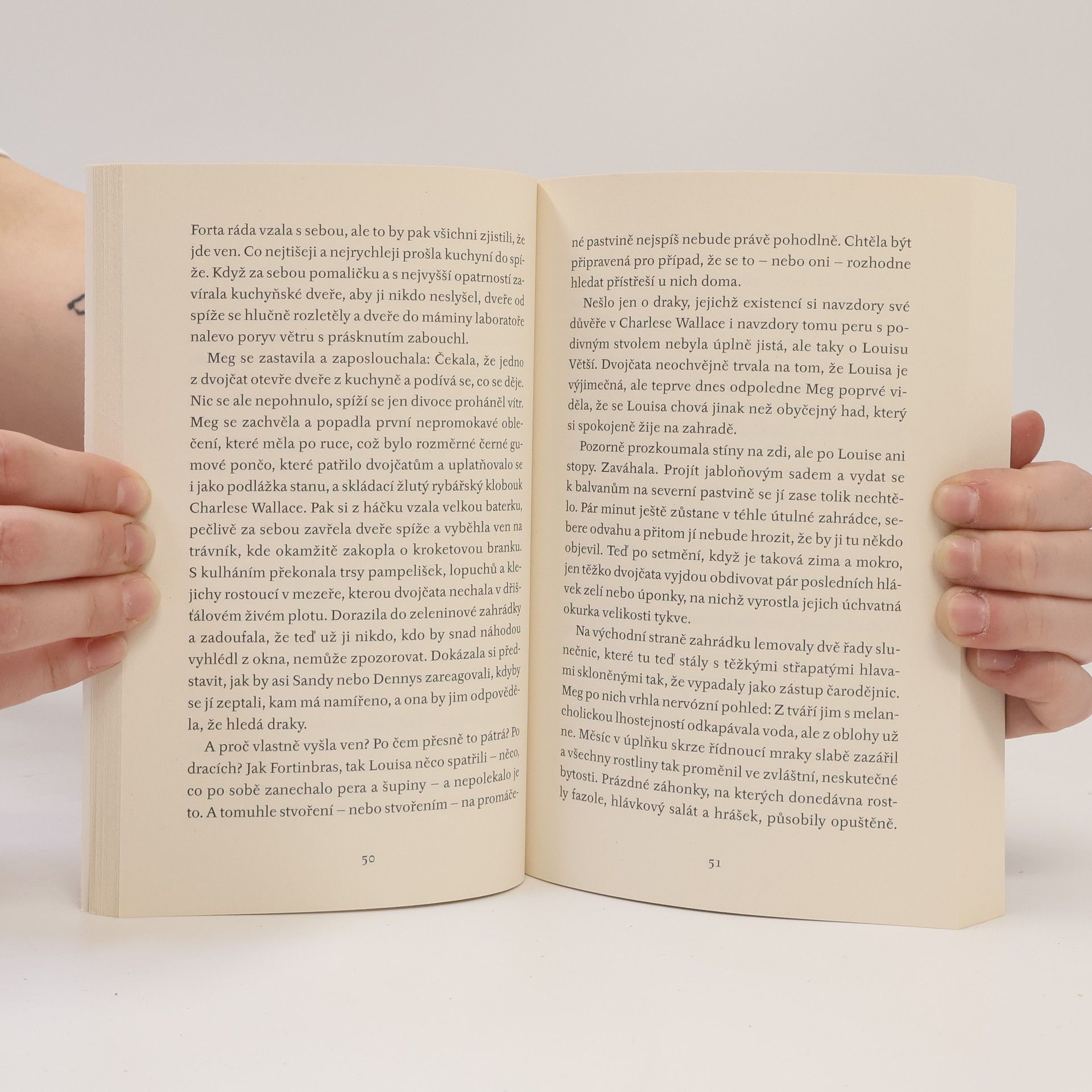 Madeleine L'Engle Vítr ve dveřích