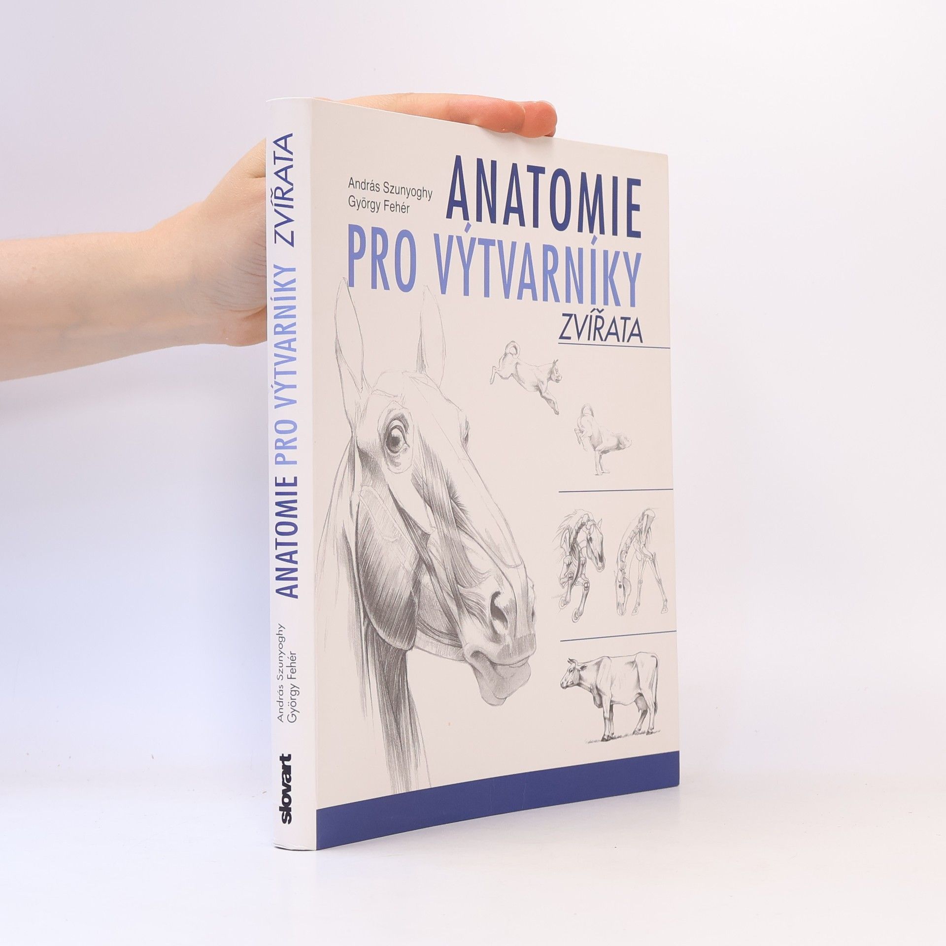 György Fehér Anatomie pro výtvarníky - Zvířata