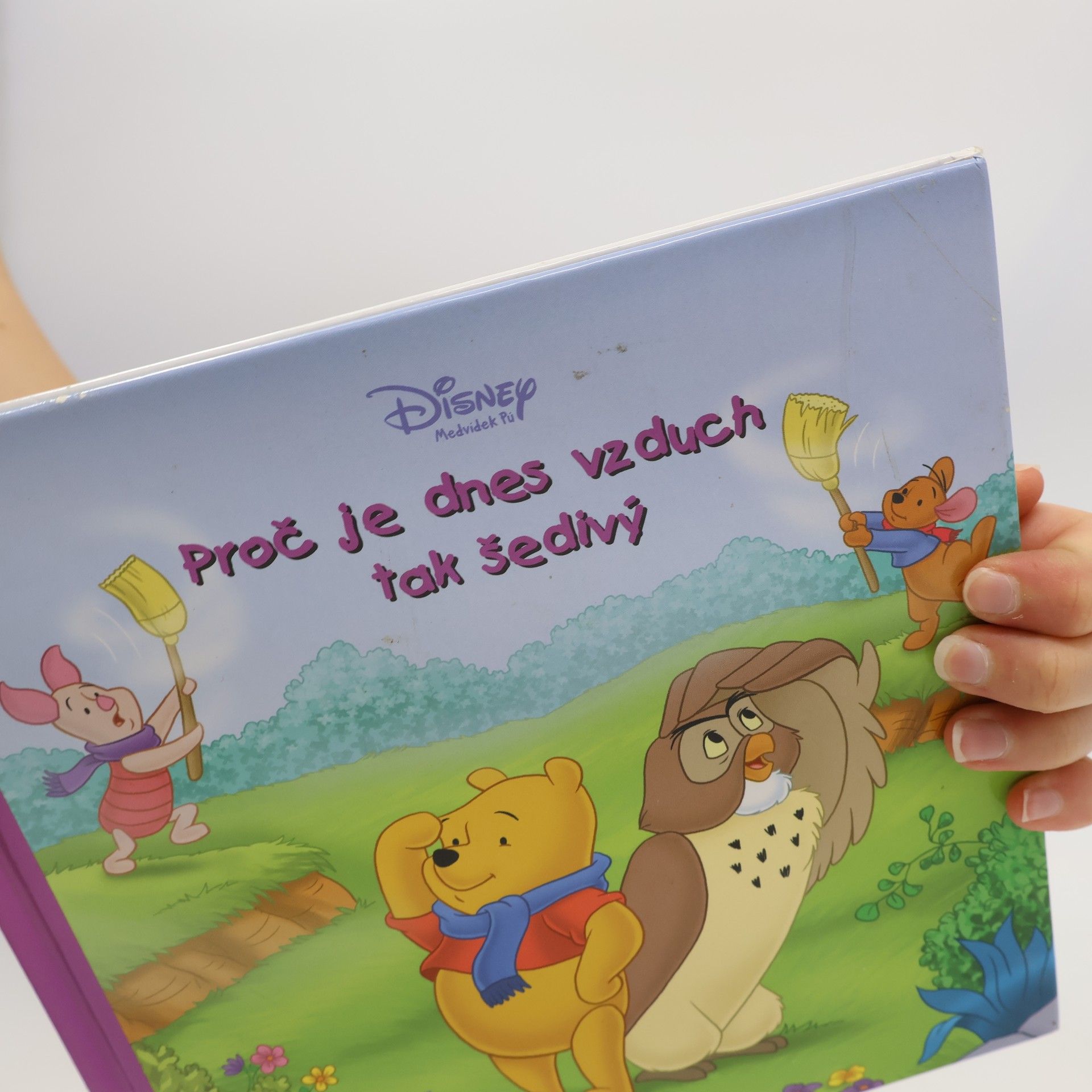 Kolektív autorov Proč je dnes vzduch tak šedivý