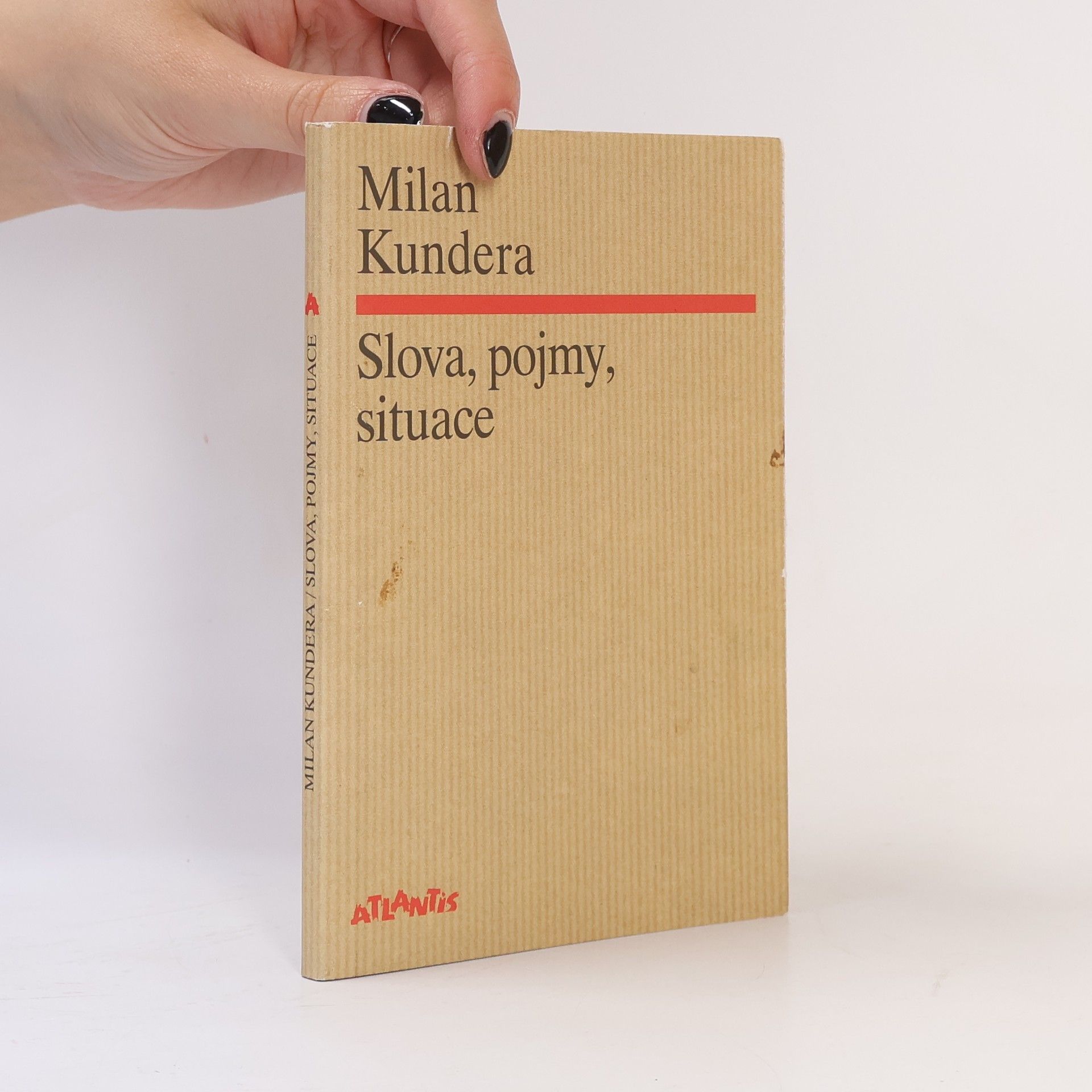 Milan Kundera Slova, pojmy, situace