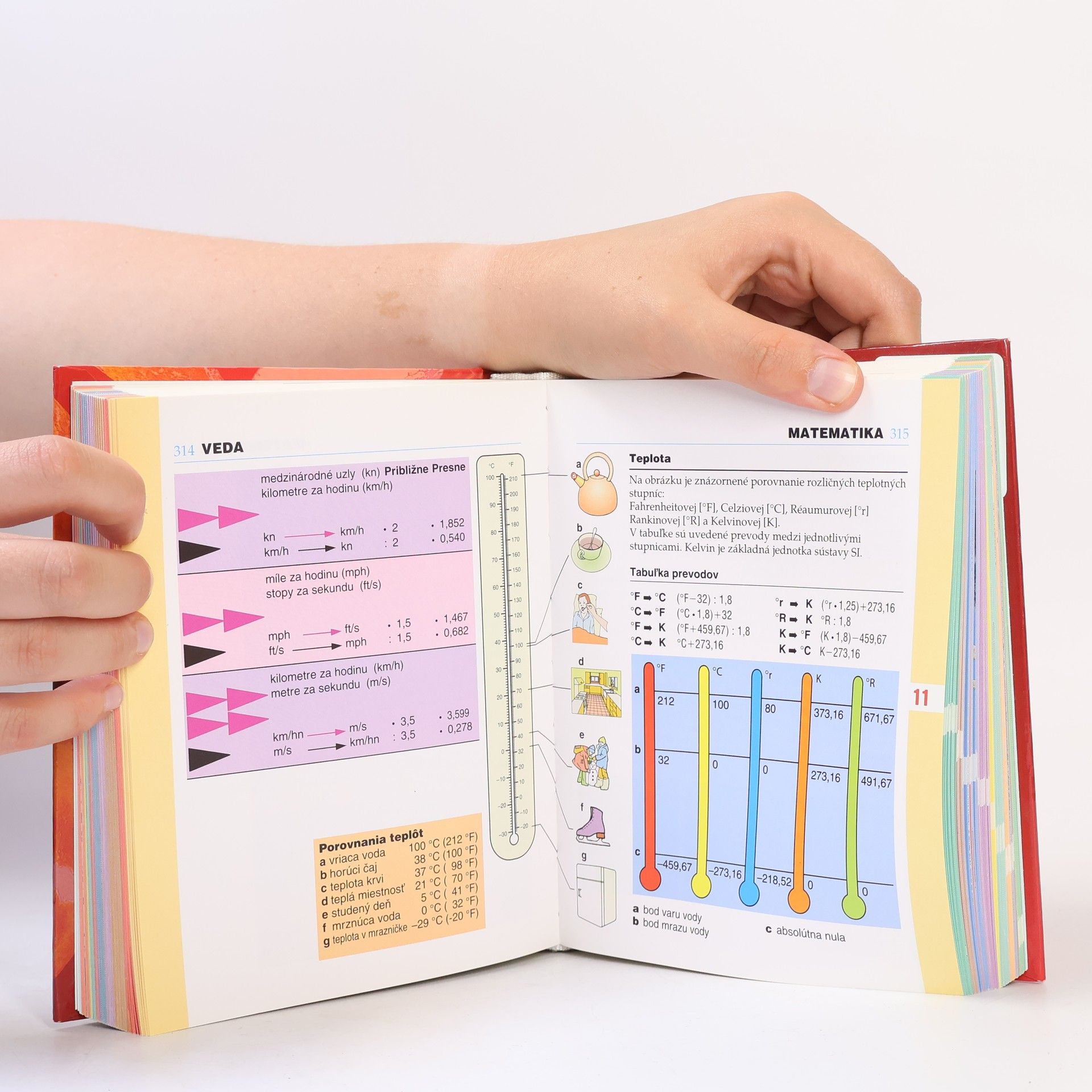Autorenkollektiv Rozum do ruky: rodinná encyklopédia vedomostí