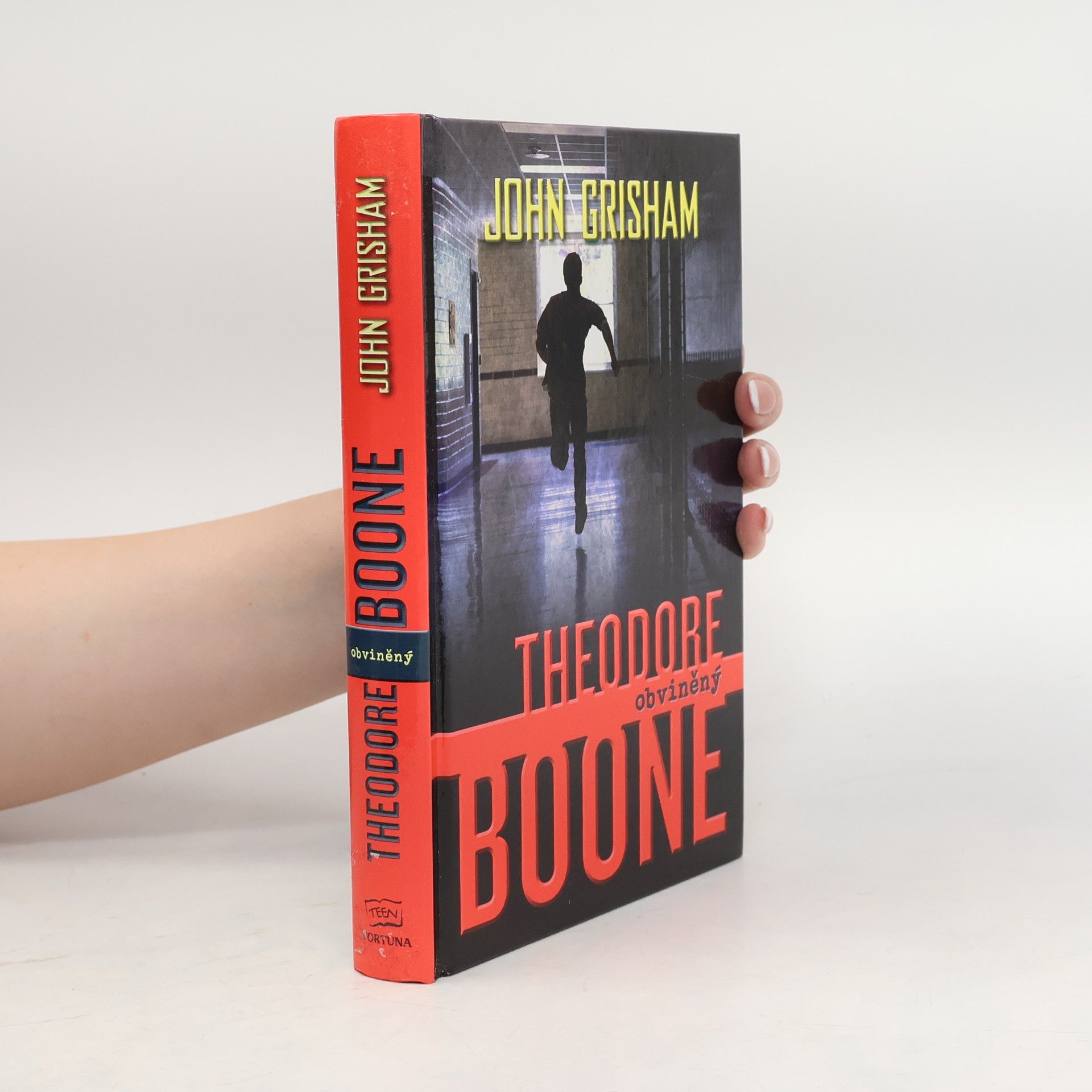 John Grisham Theodore Boone : obviněný