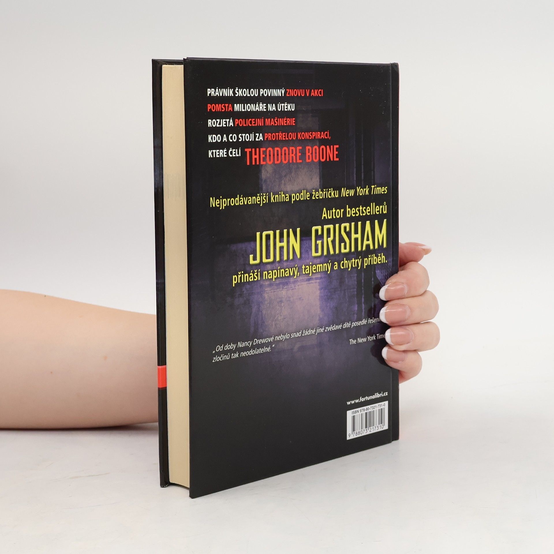 John Grisham Theodore Boone : obviněný