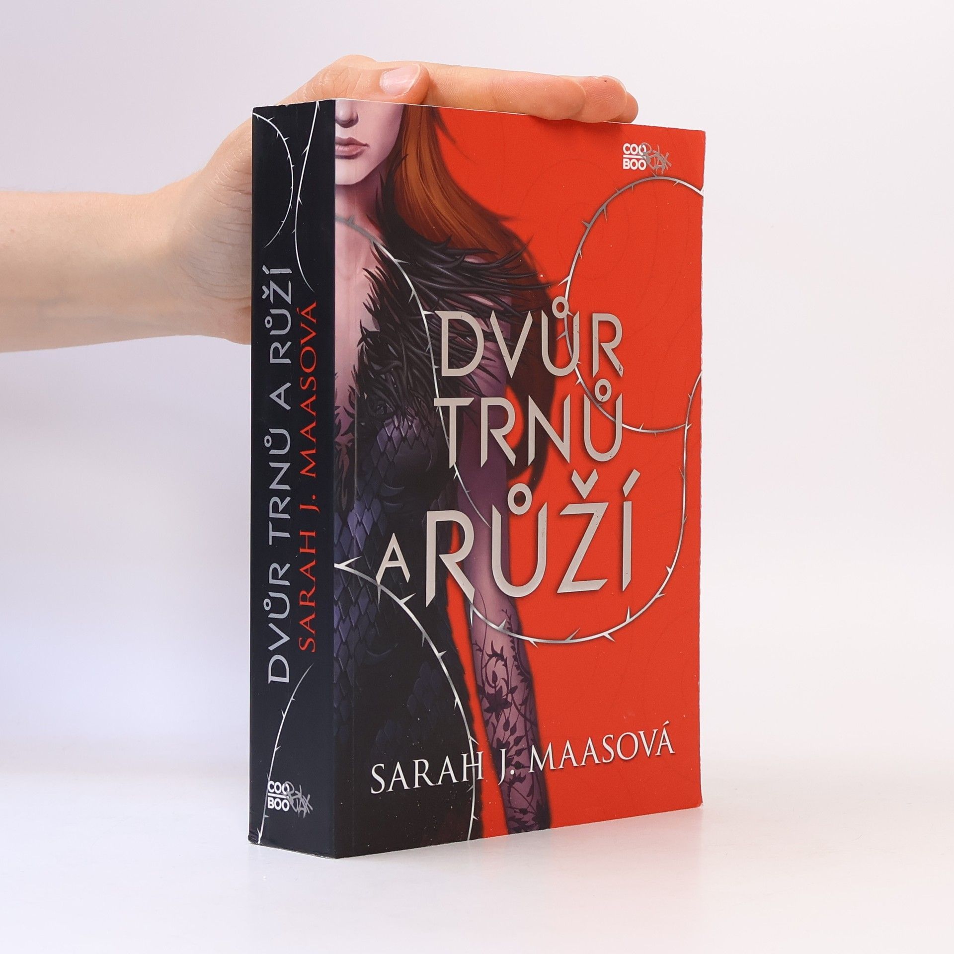 Sarah J. Maas Dvůr trnů a růží