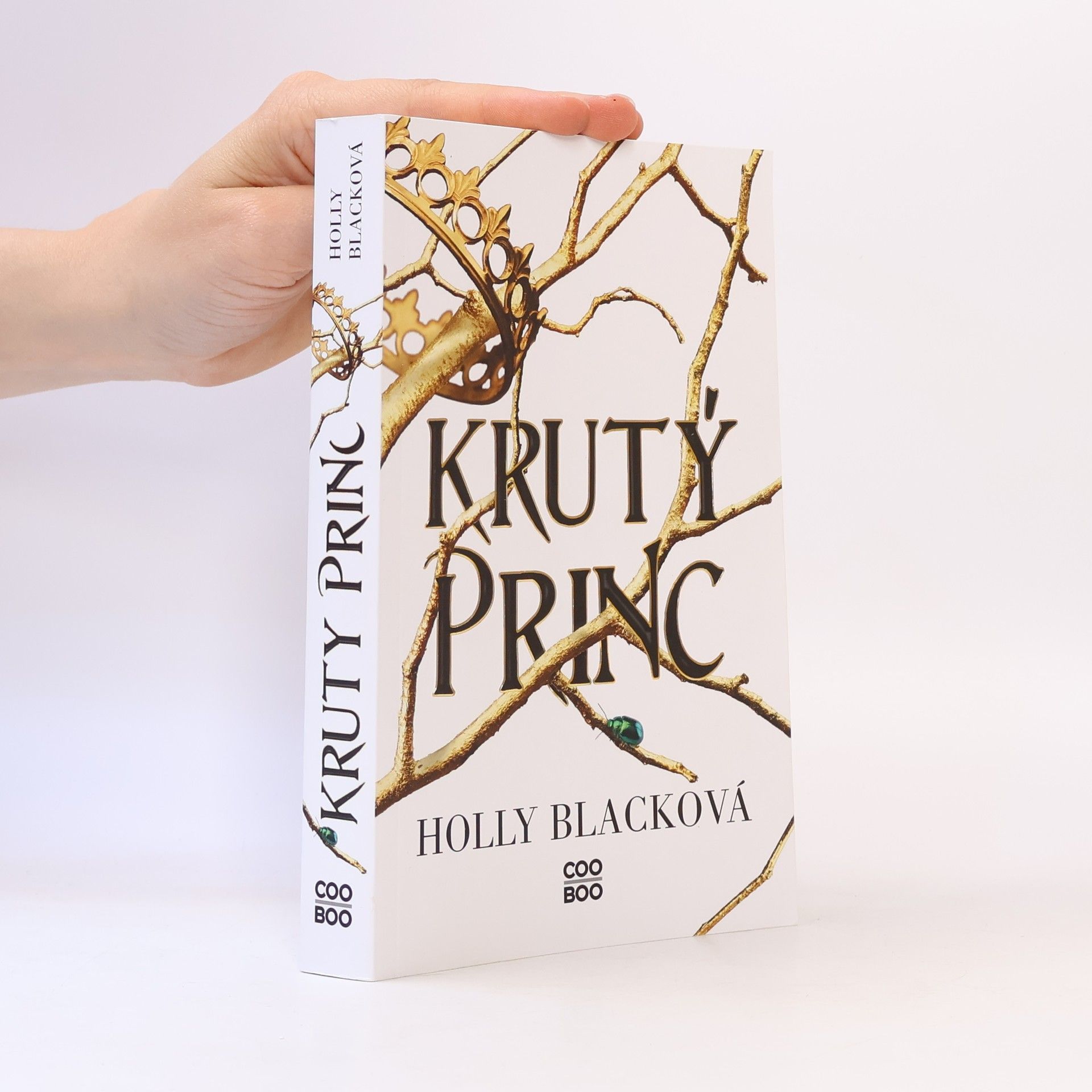 Holly Black Krutý princ