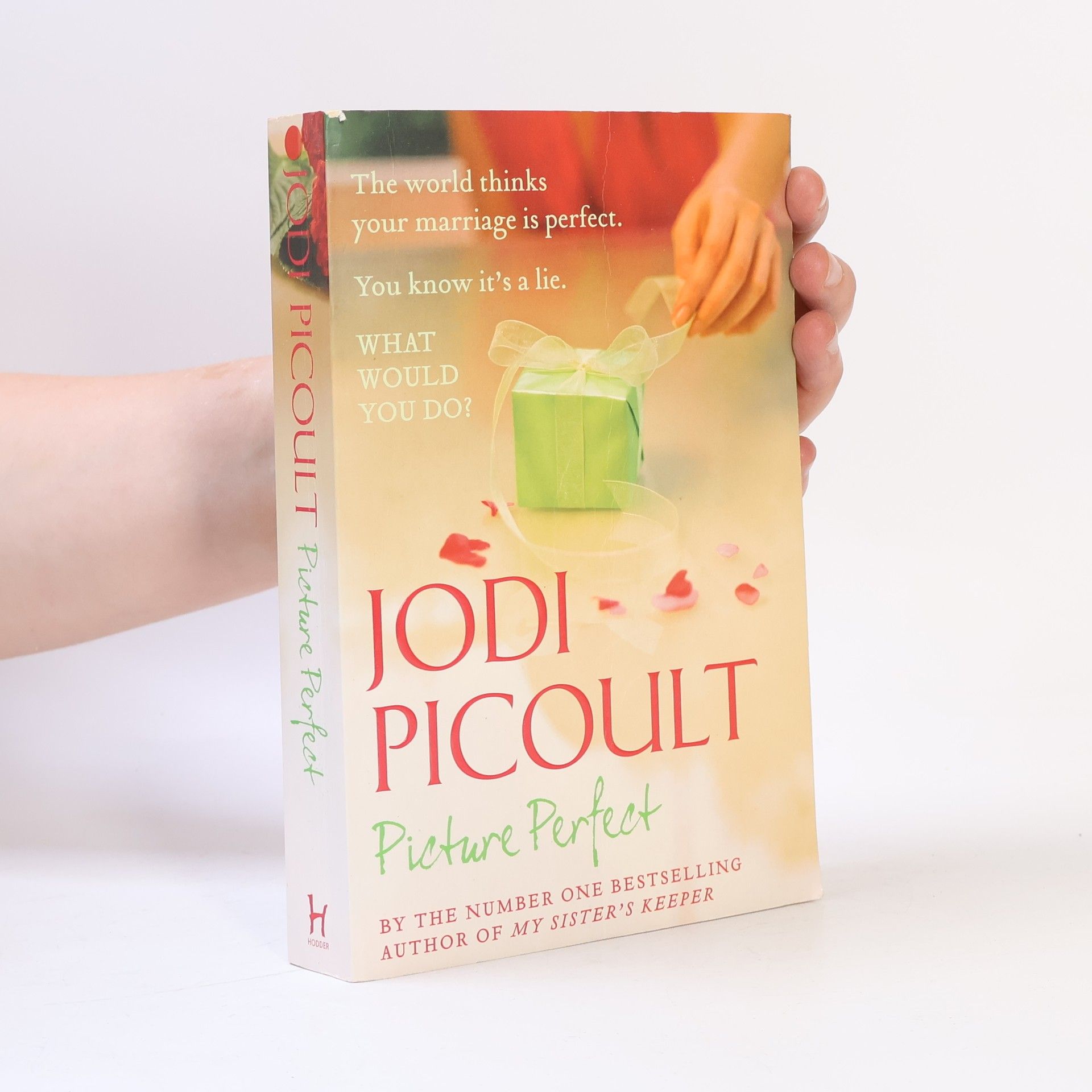 Jodi Picoult Picture perfect
