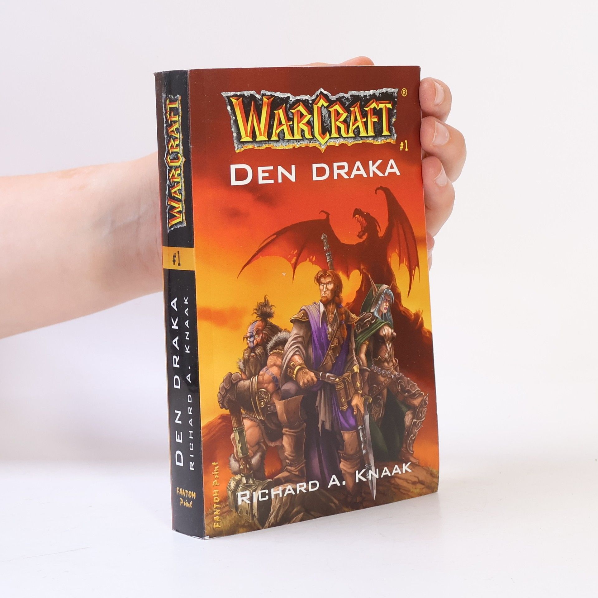 Richard A. Knaak WarCraft. Den draka