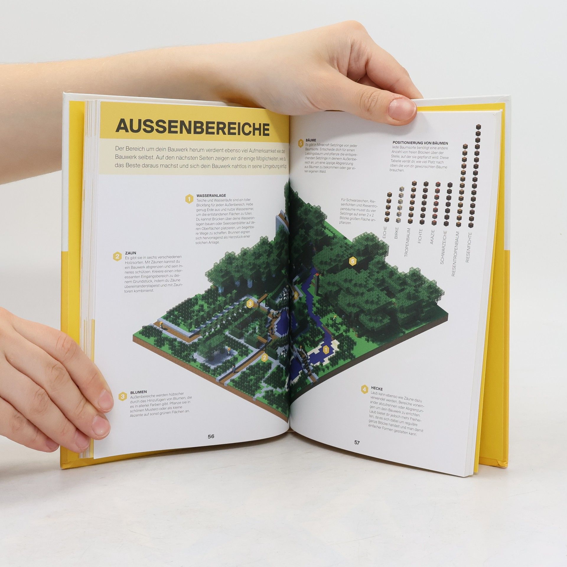 Craig Jelley Minecraft - Handbuch für Kreative