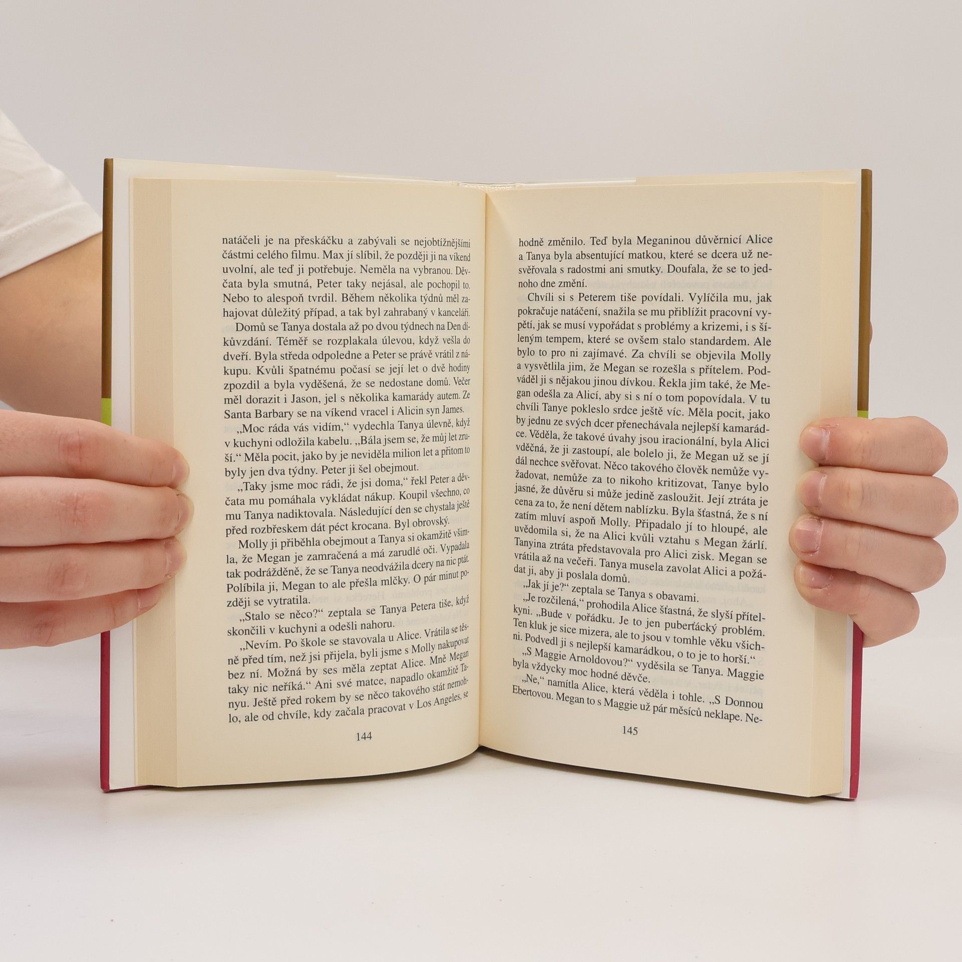 Danielle Steel Bludiště života