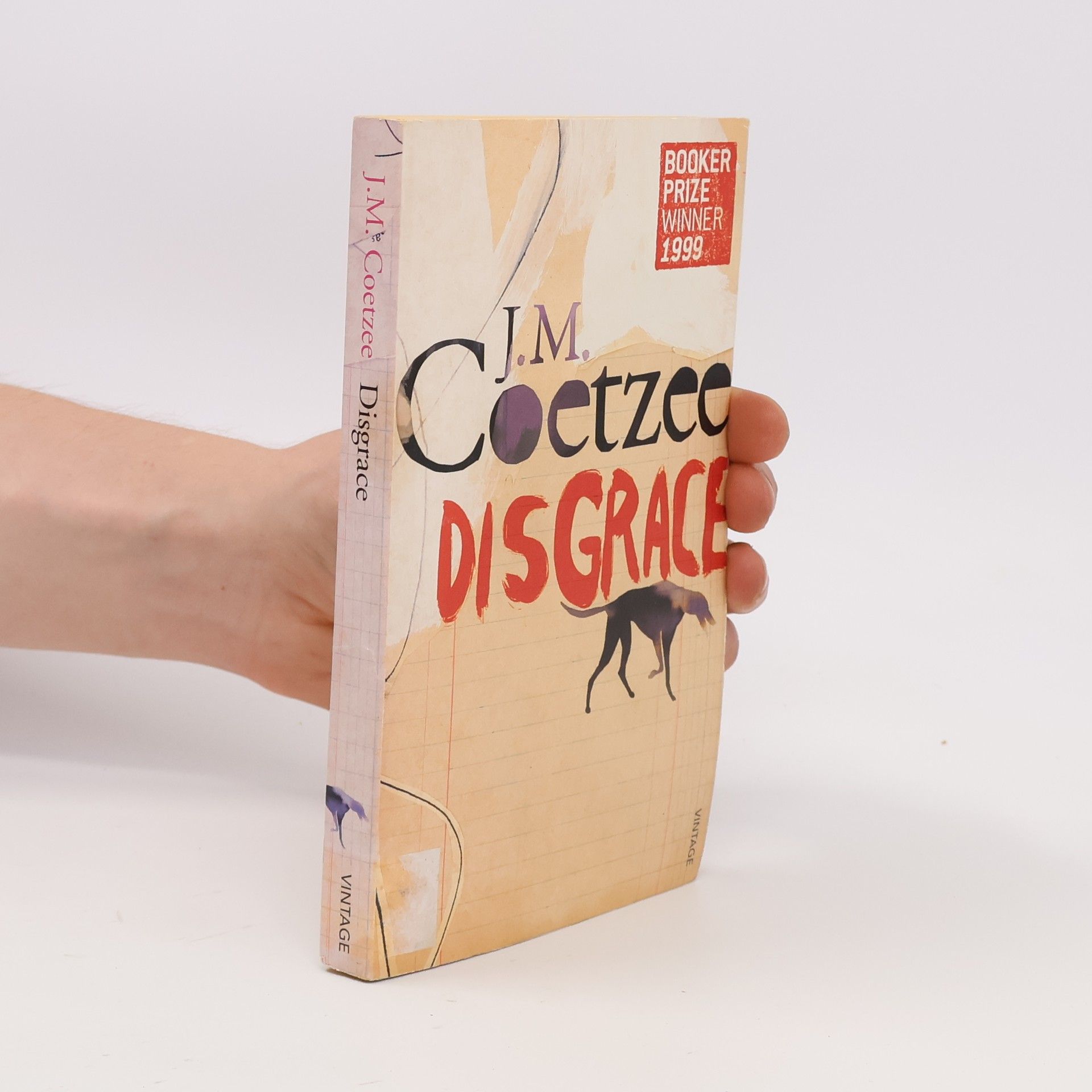 John Maxwell Coetzee Disgrace