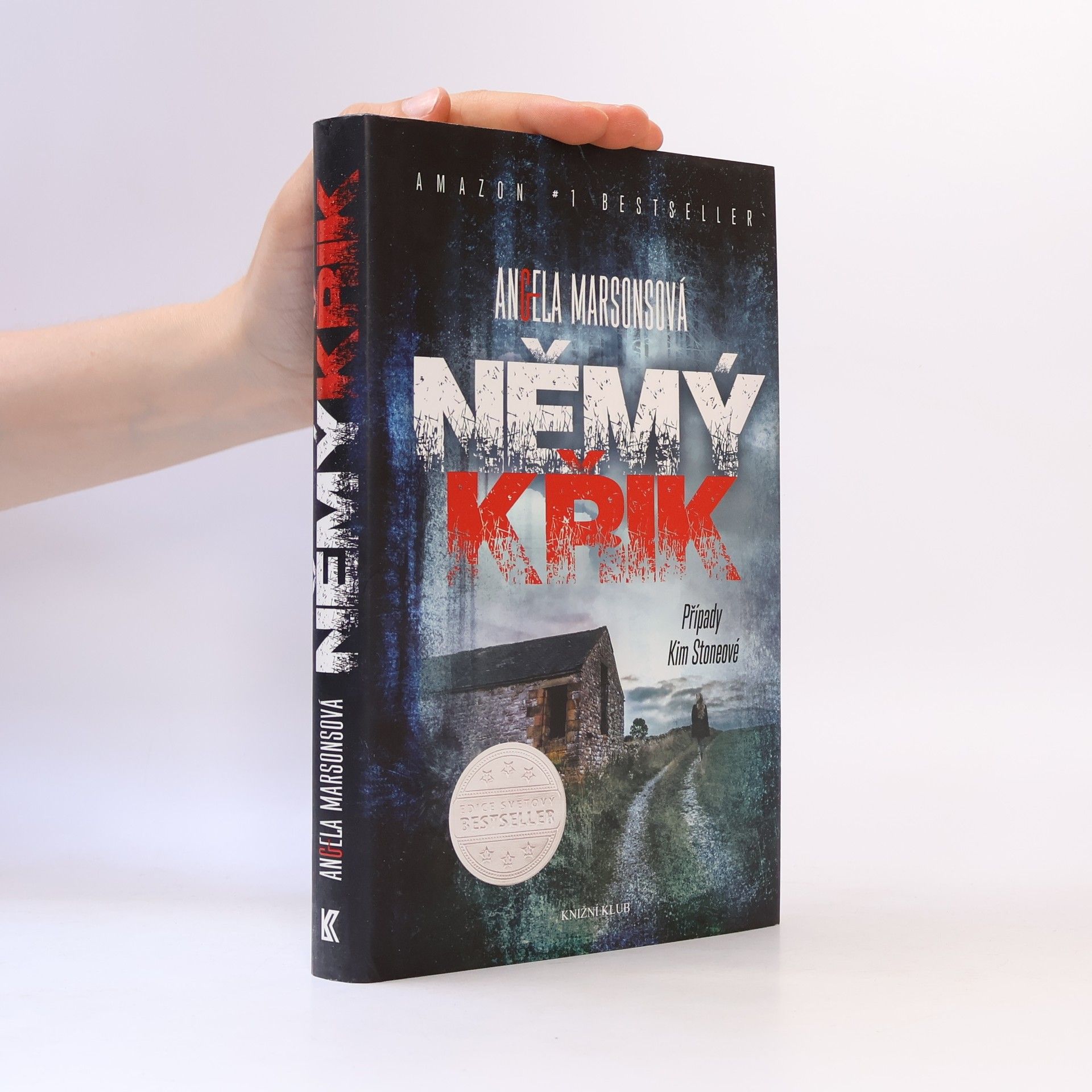 Angela Marsons Němý křik