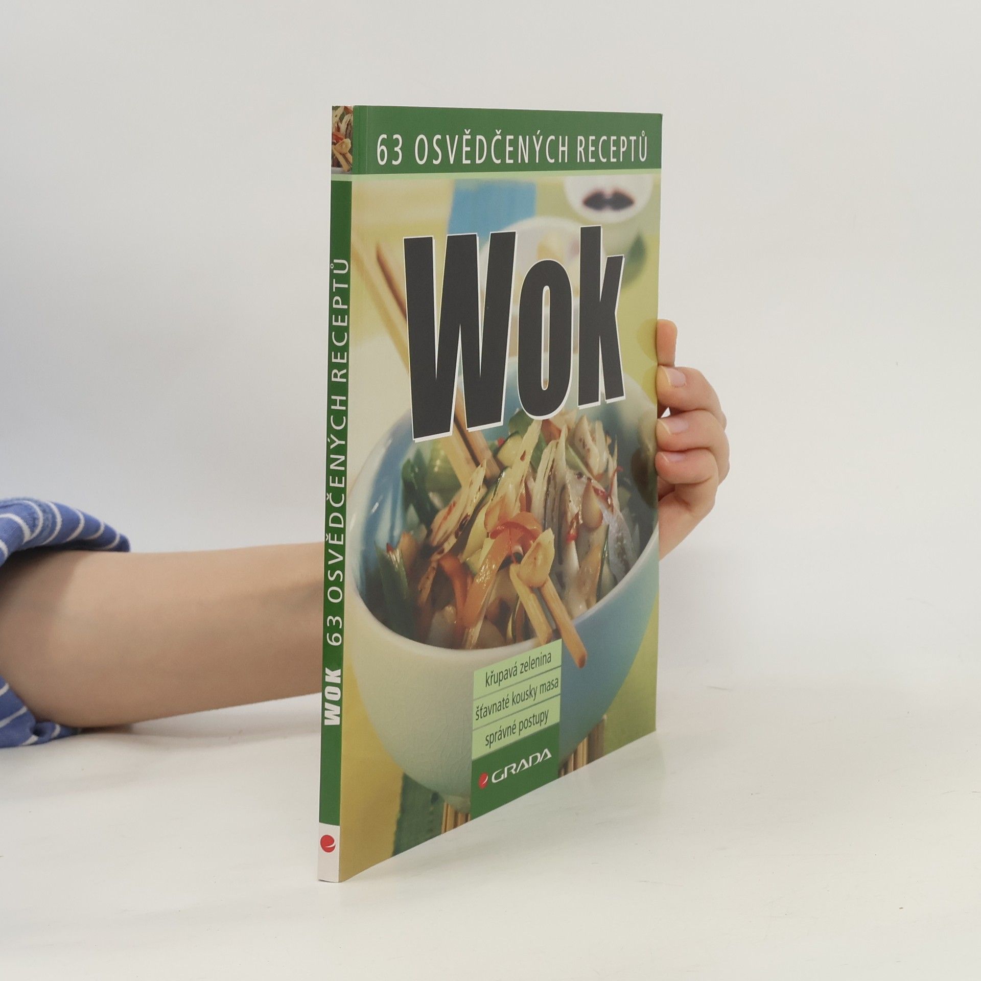 Kolektiv autorů Wok - 63 osvědčených receptů