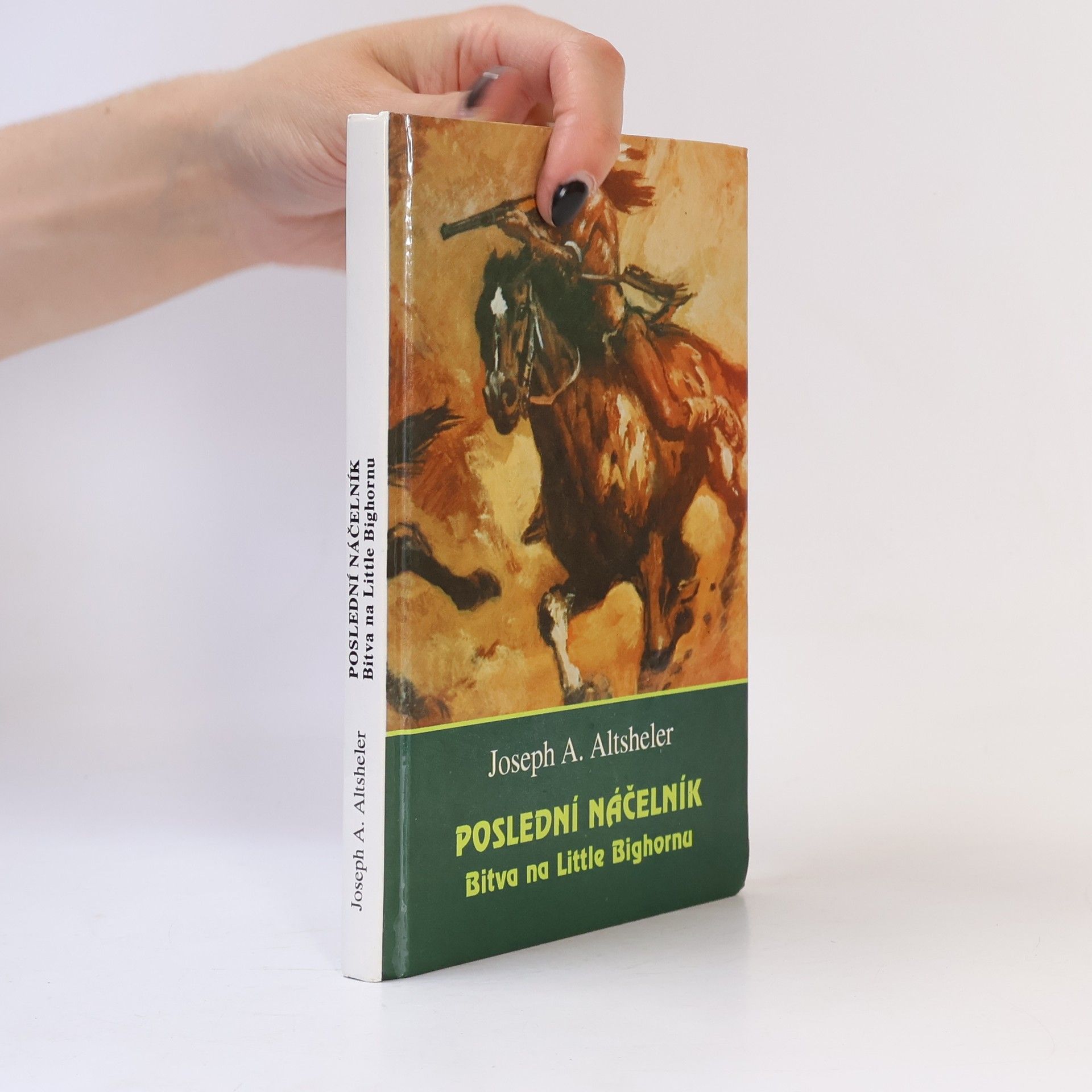 Poslední náčelník : bitva na Little Bighornu