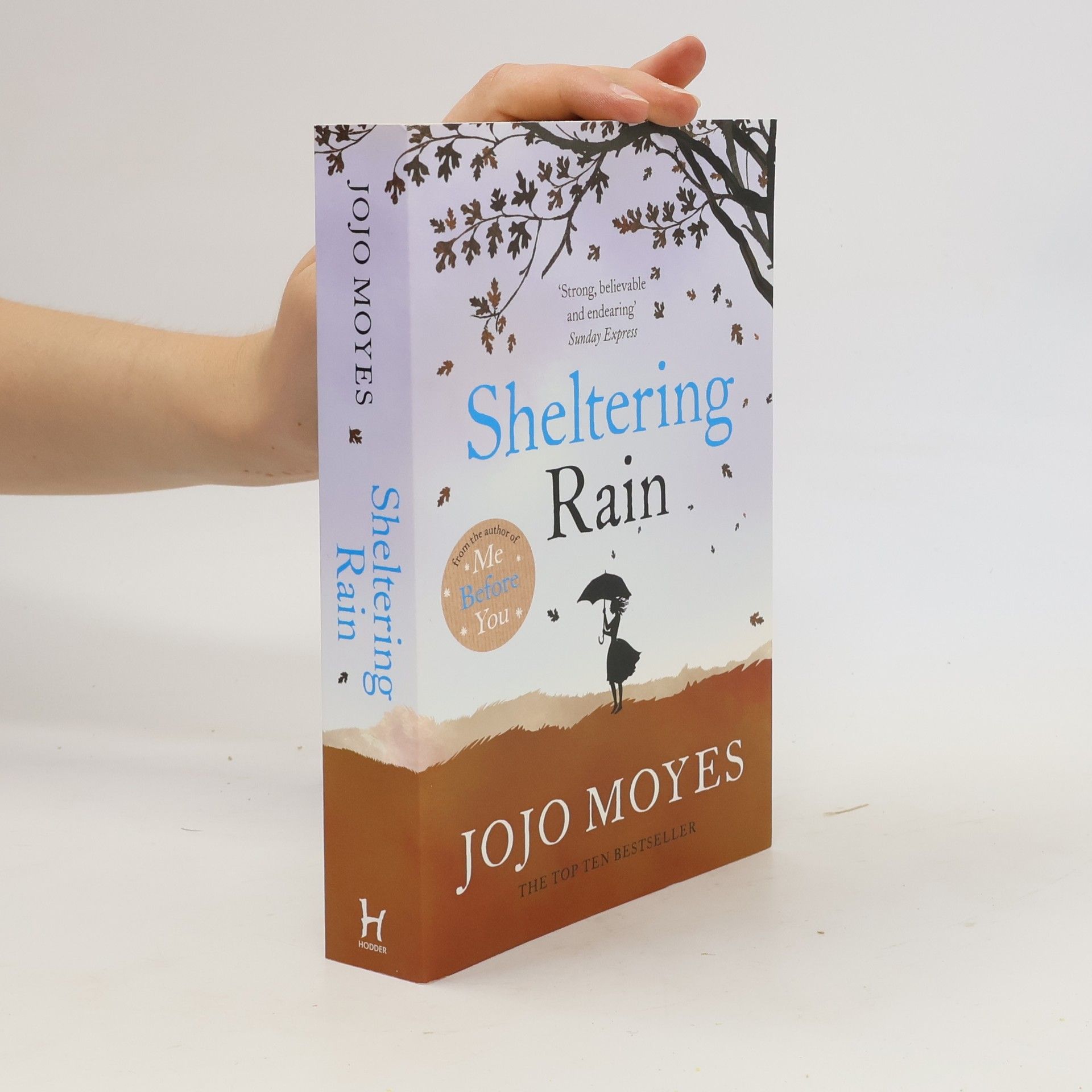 Jojo Moyes Sheltering rain