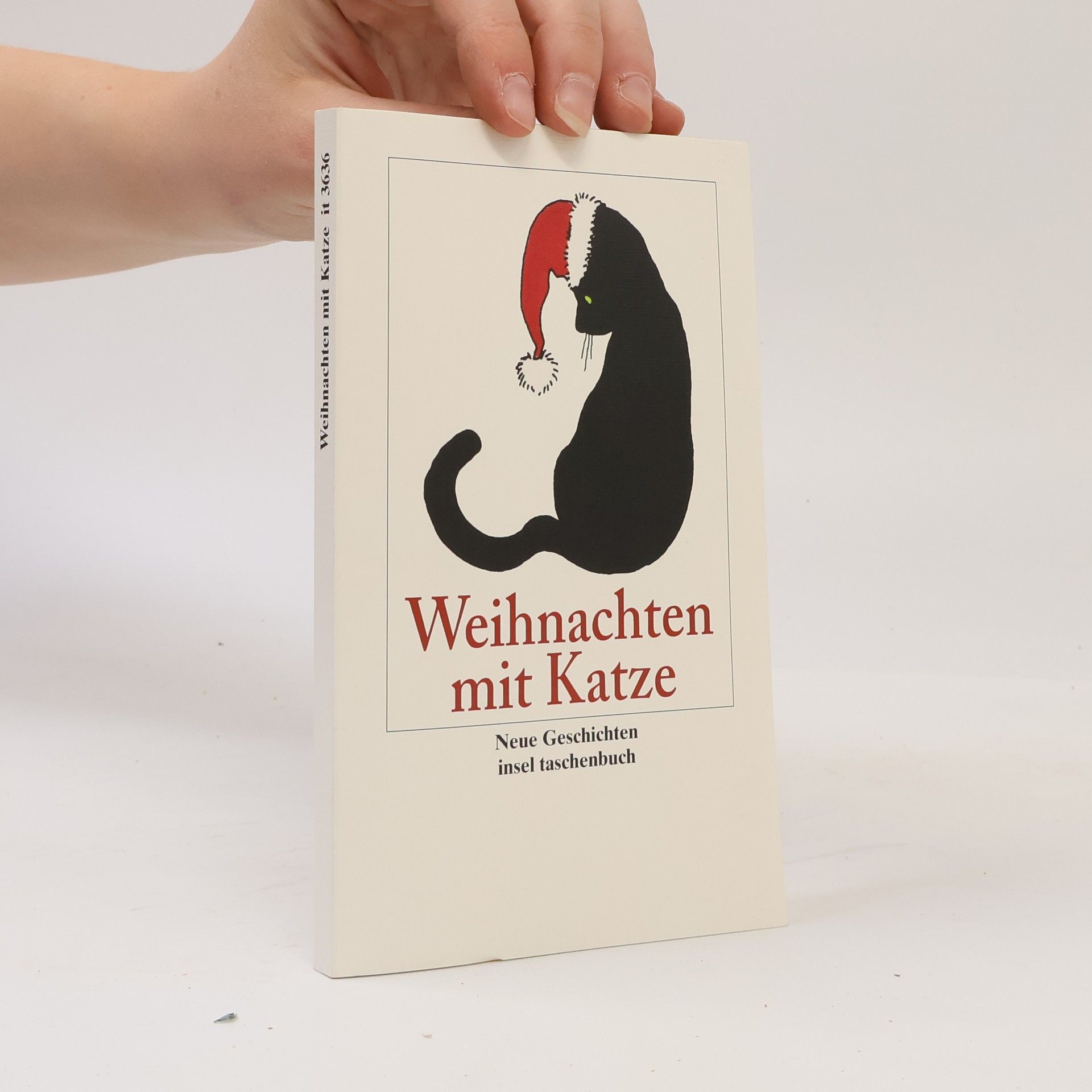 Mario Leis Weihnachten mit Katze