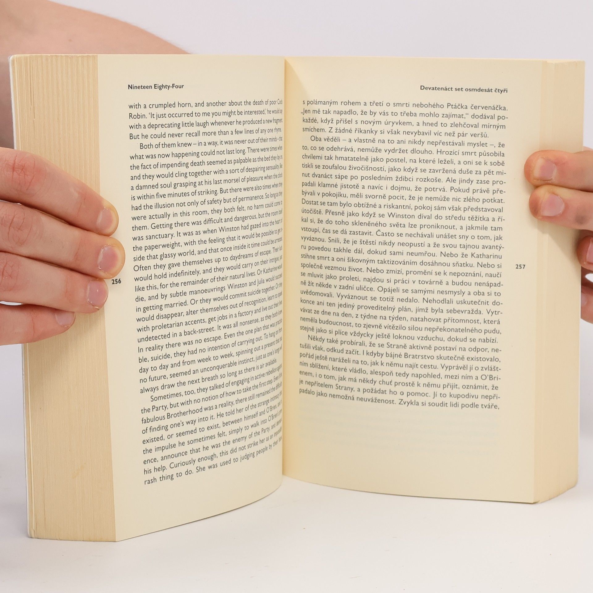 Martínková Petra Nineteen eighty-four. Devatenáct set osmdesát čtyři