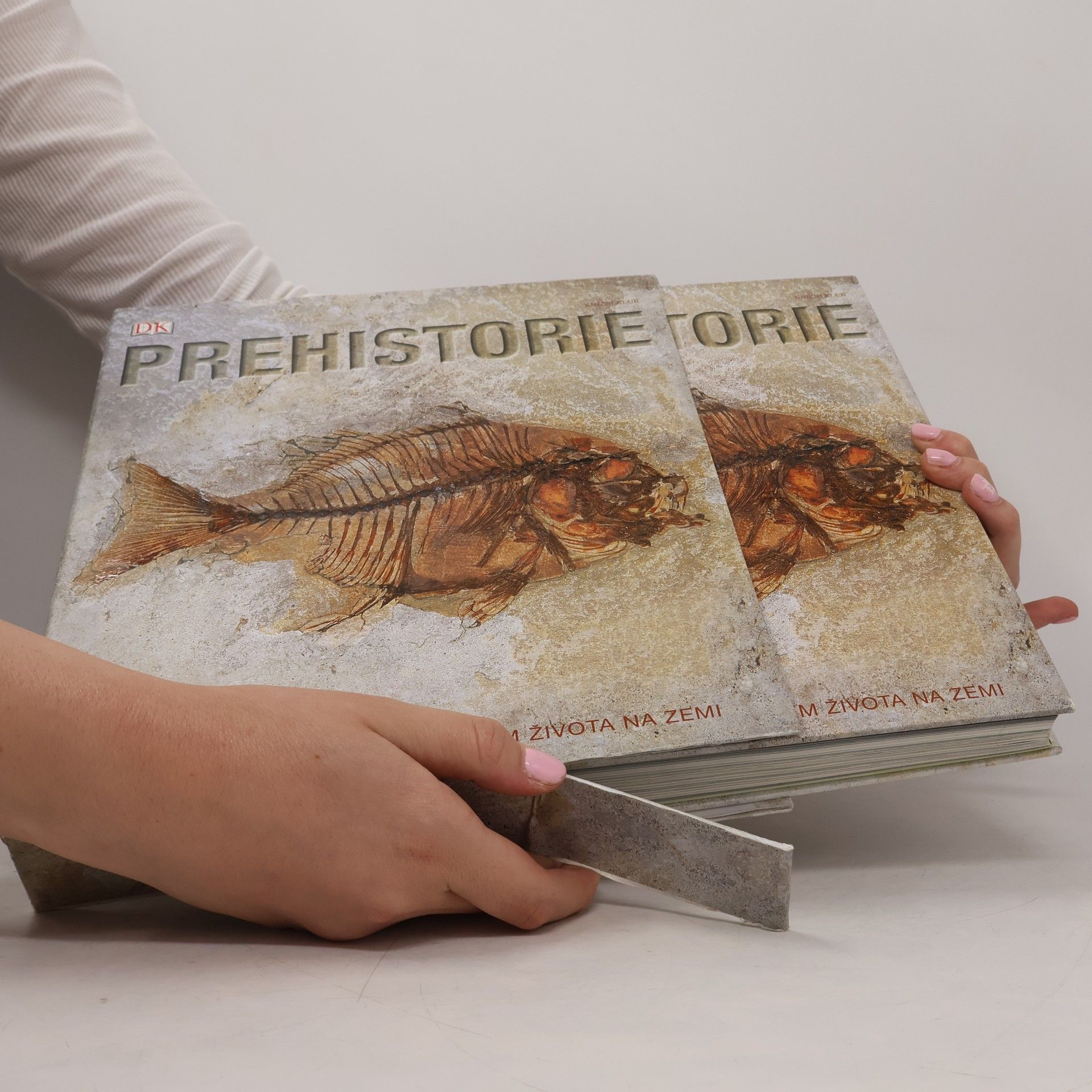 Douglas Palmer Prehistorie