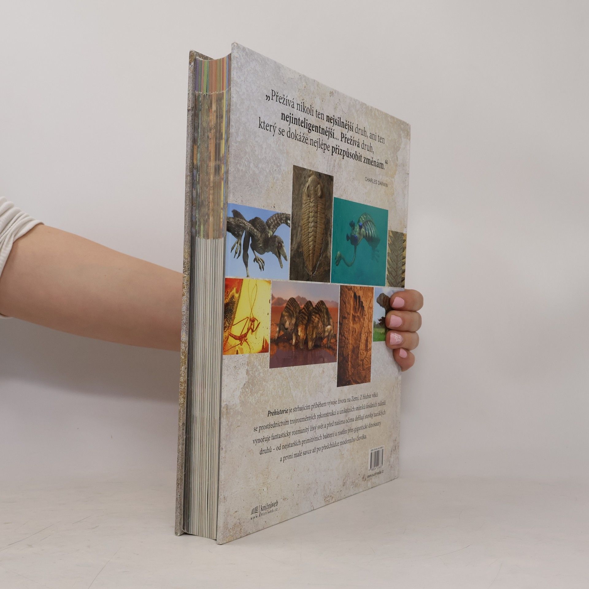 Douglas Palmer Prehistorie