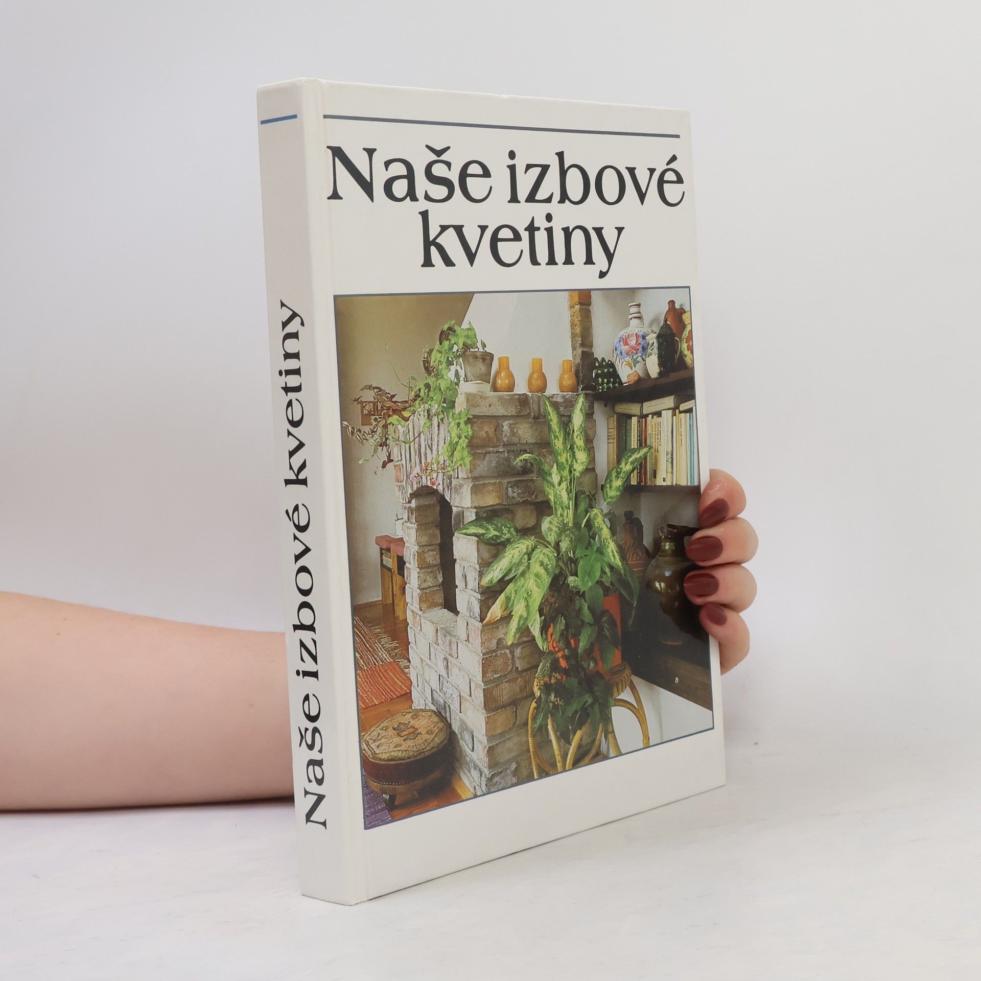 Lajos Lelkes Naše izbové kvetiny