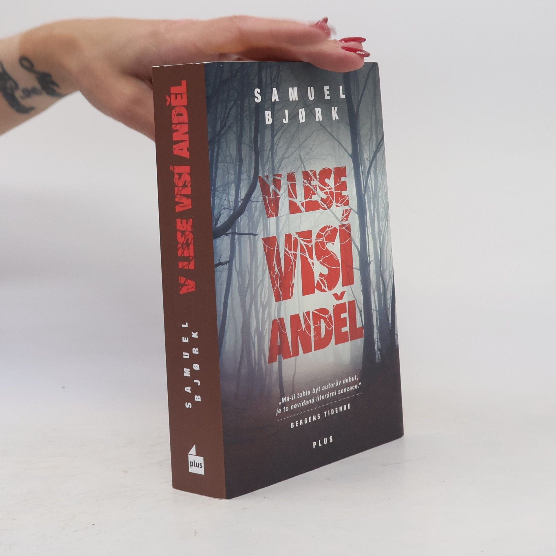 Samuel Bjork V lese visí anděl