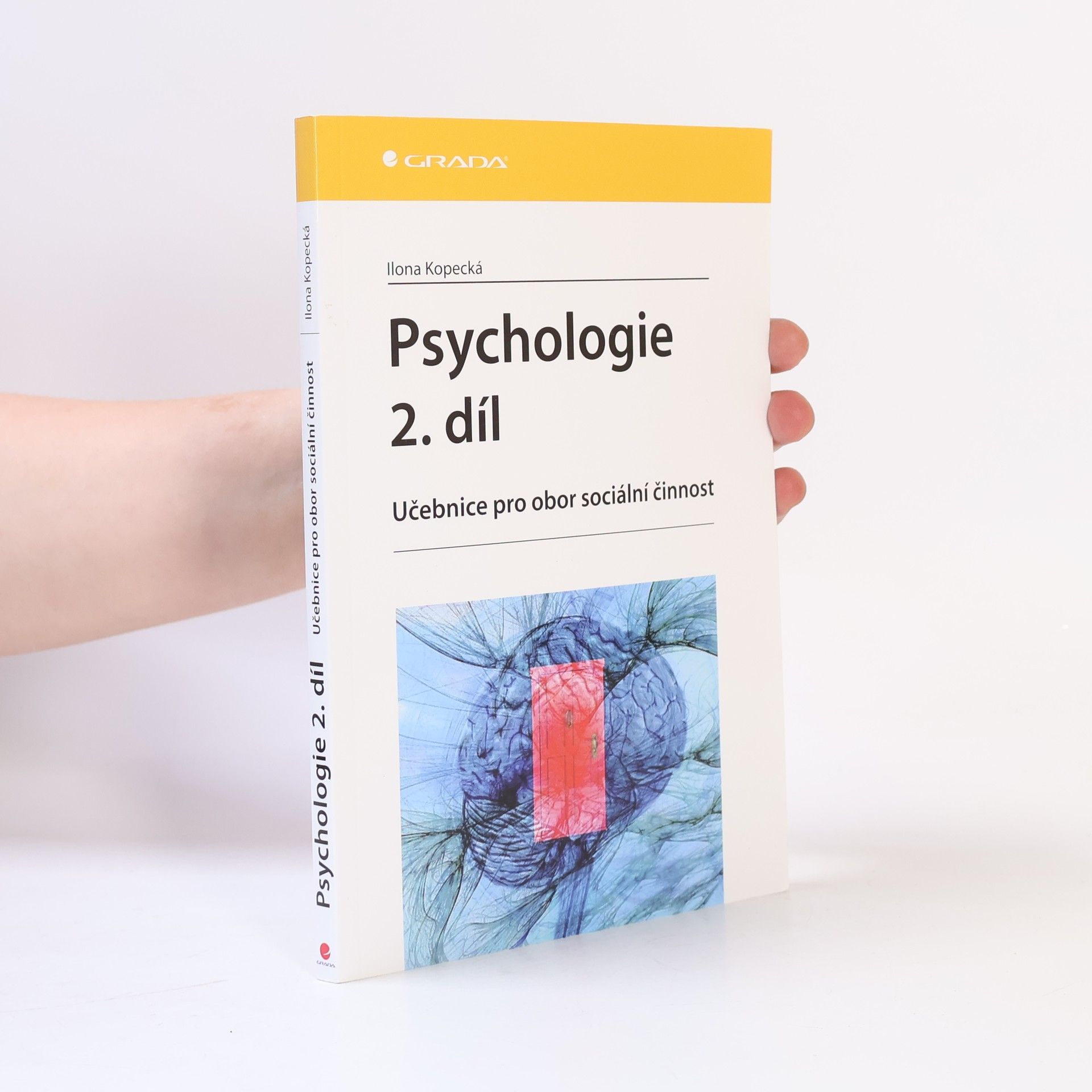 Ilona Kopecká Psychologie : učebnice pro obor sociální činnost. 2. díl