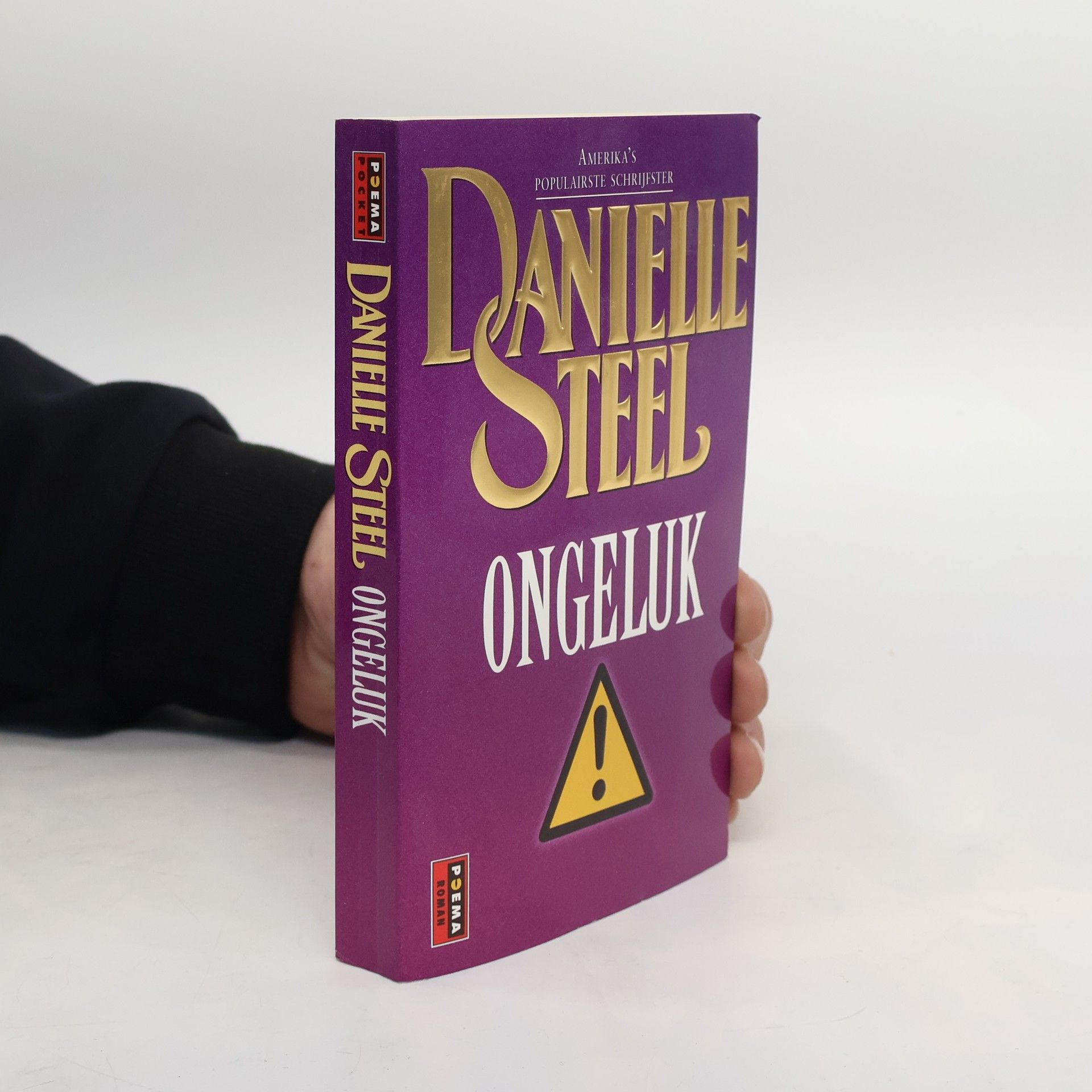 Danielle Steel Ongeluk