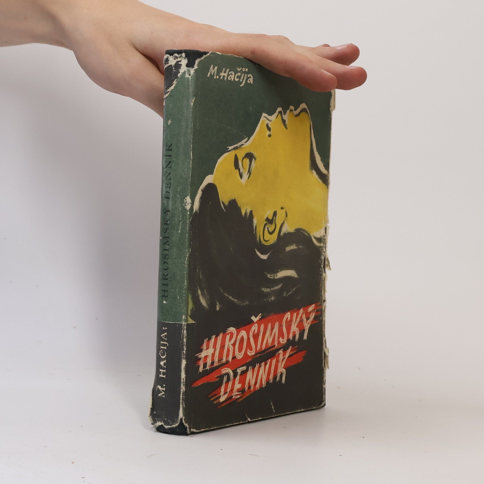 Mičihiho Hačija Hirošimský denník