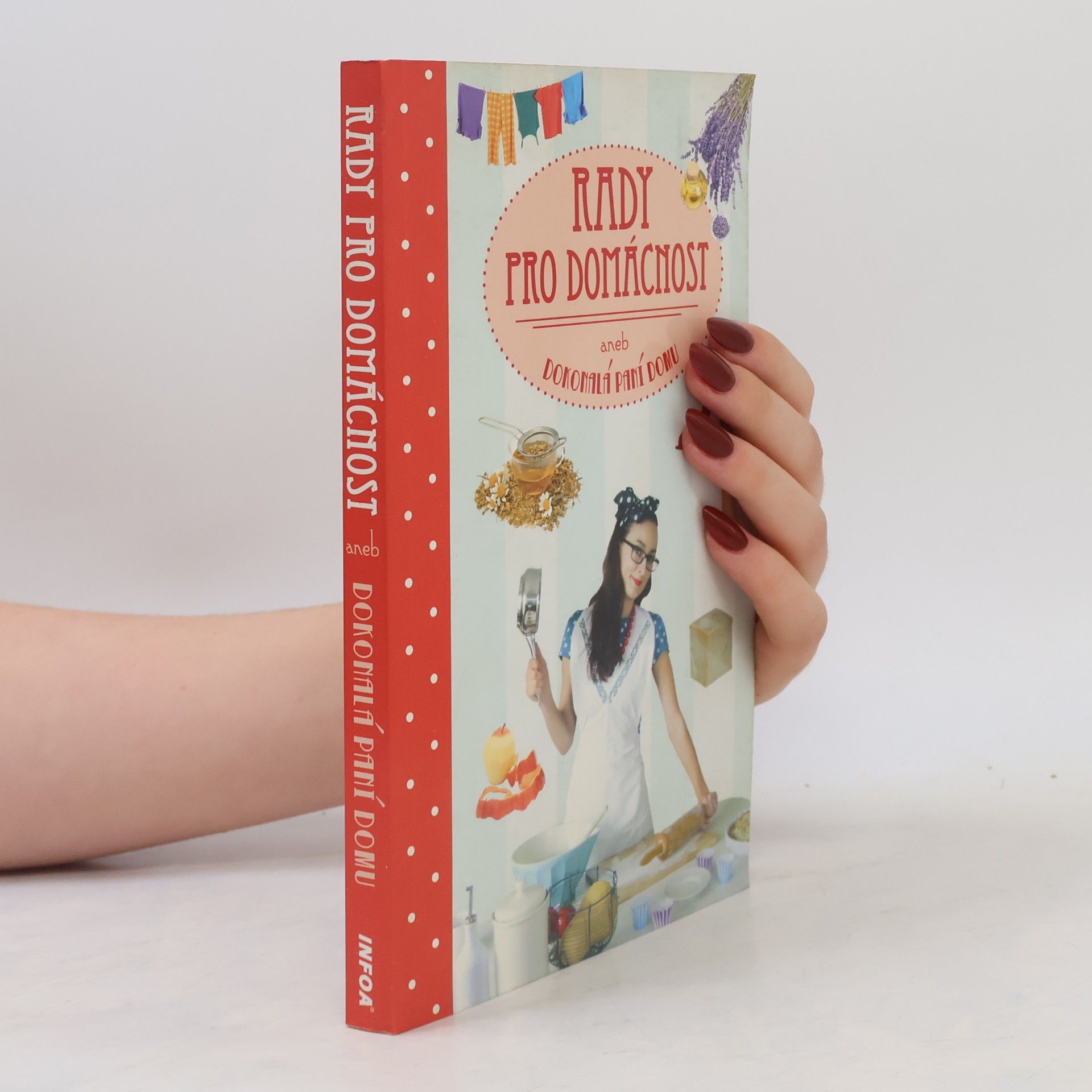Autores varios Rady pro domácnost, aneb Dokonalá paní domu
