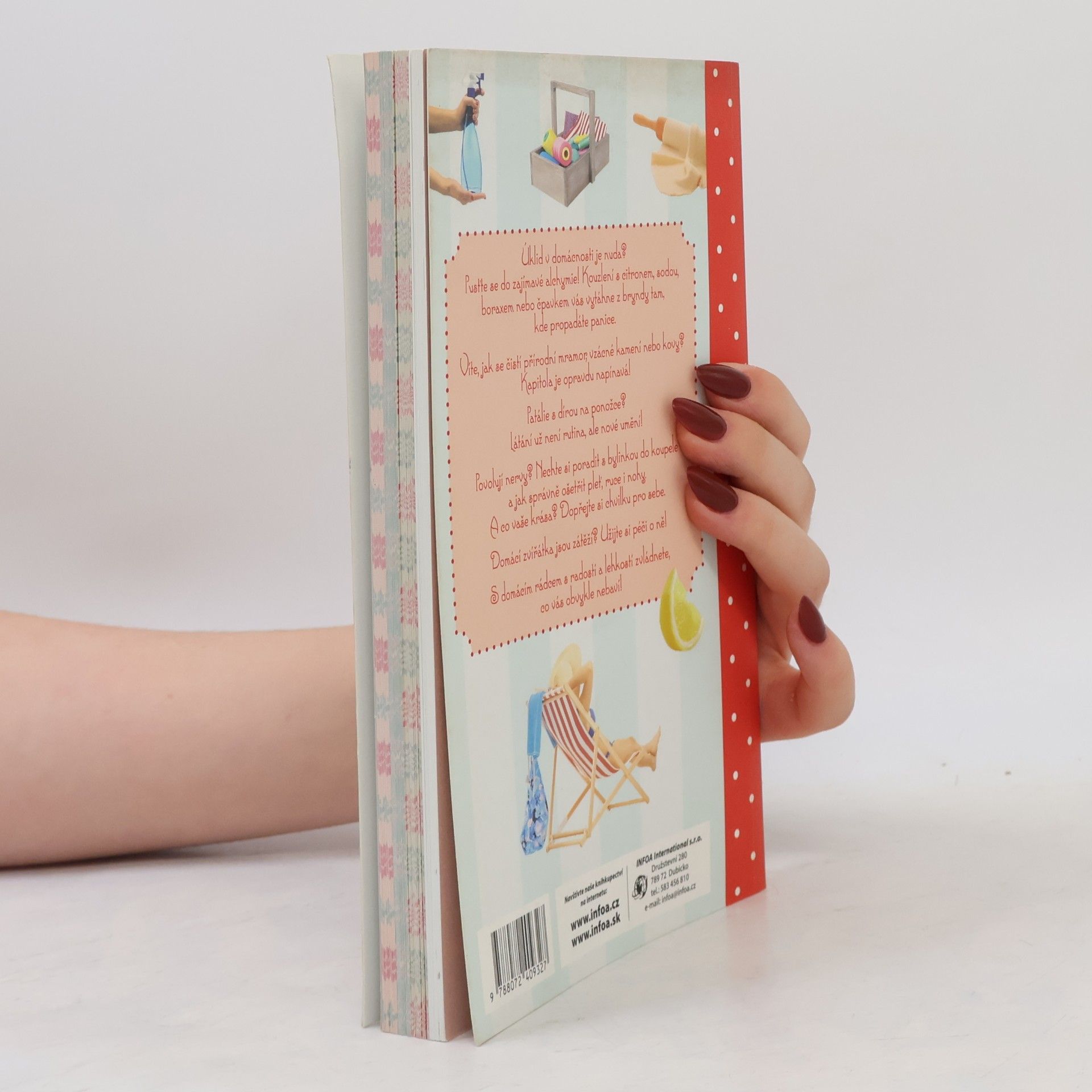Autores varios Rady pro domácnost, aneb Dokonalá paní domu