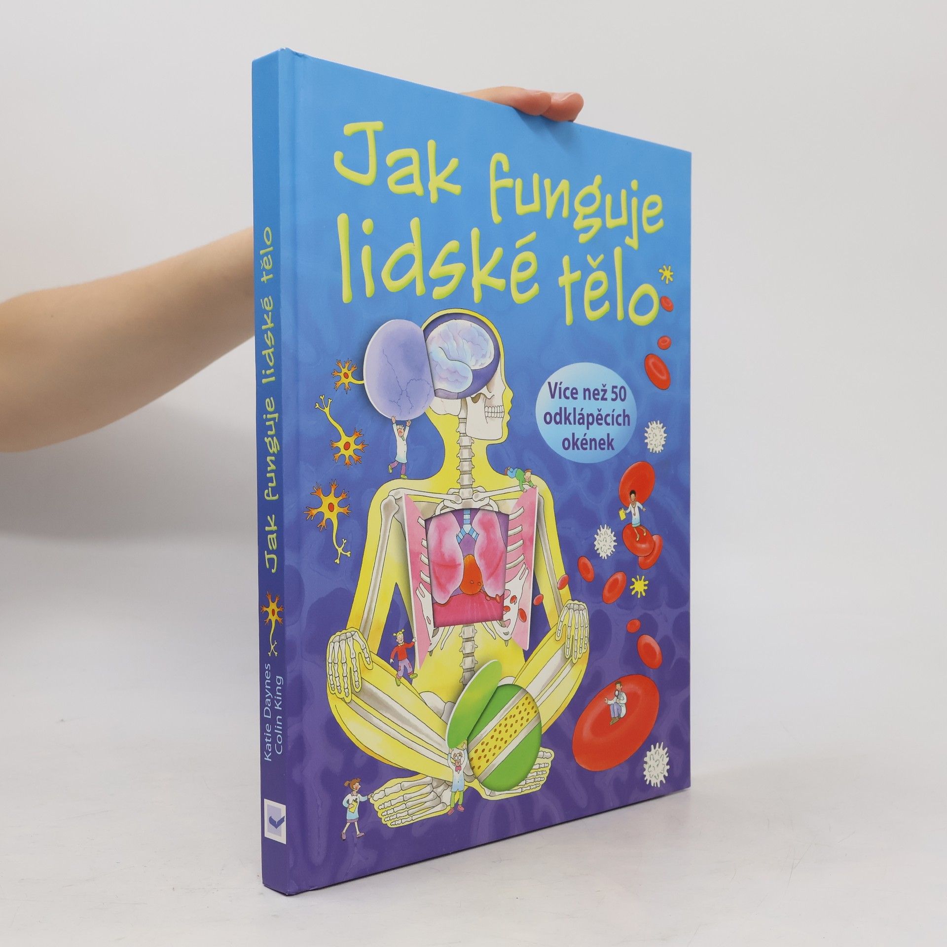Katie Daynes Jak funguje lidské tělo