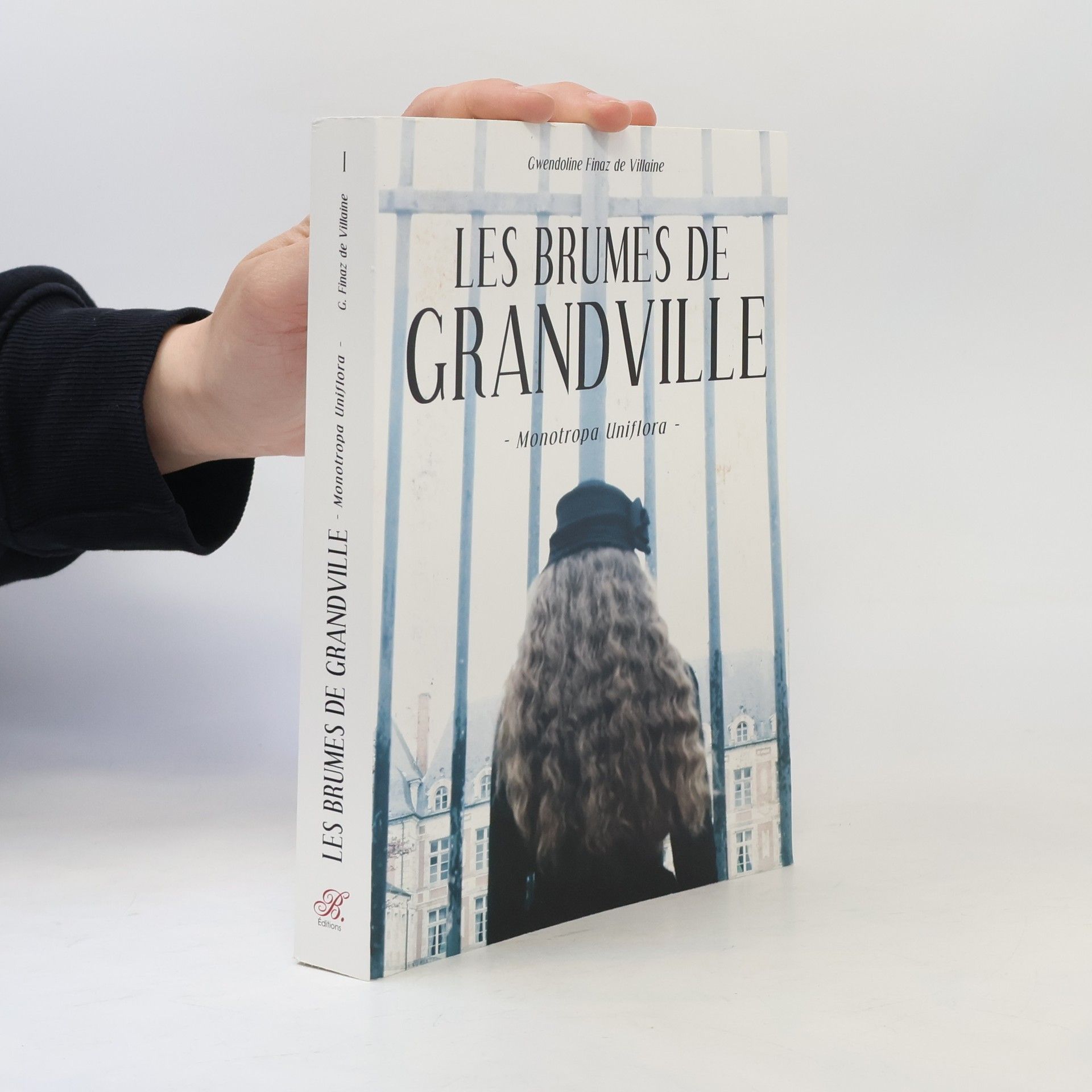 Gwendoline Finaz de Villaine Les Brumes de Granville