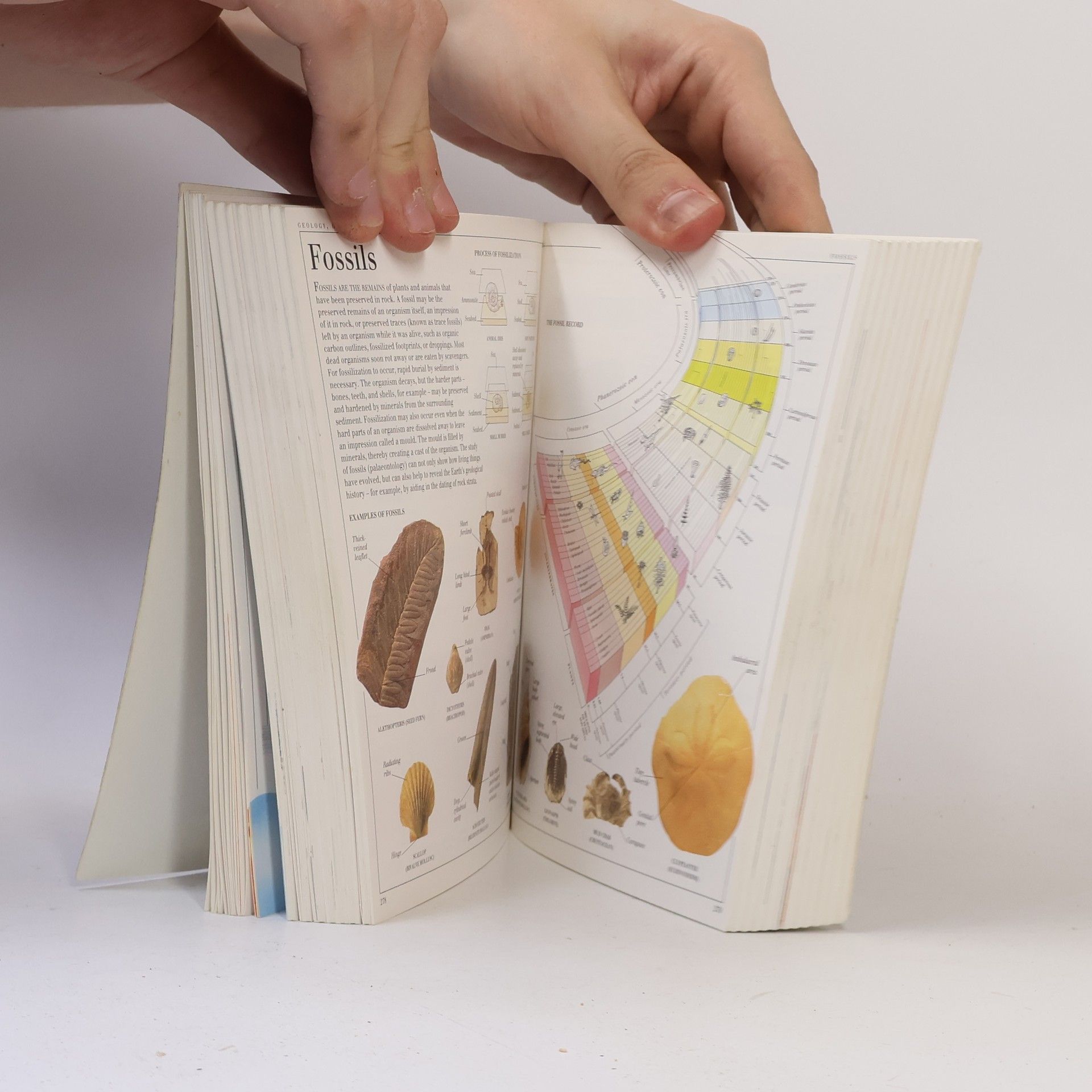 Autores varios Visual Encyclopedia