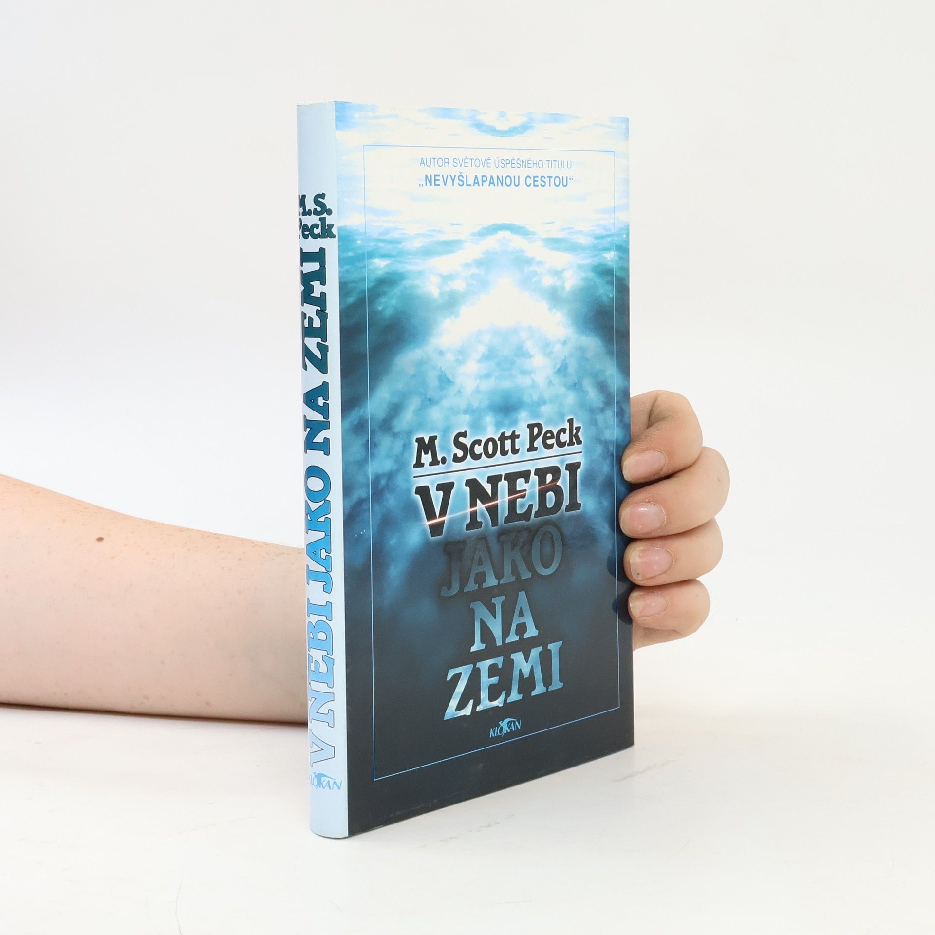 Irena Palová V nebi jako na zemi