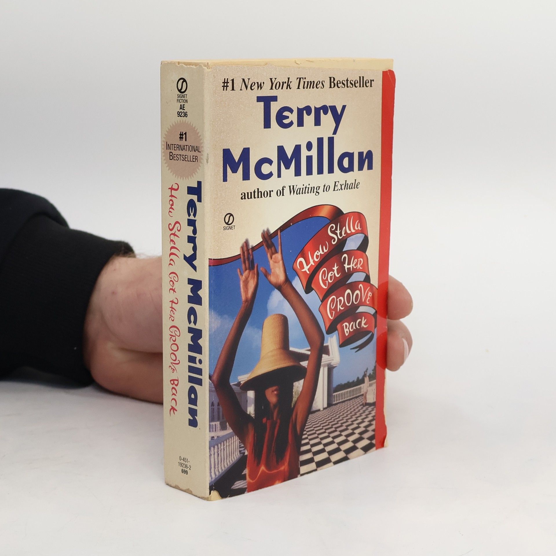 Terry McMillan How Stella Got Her Groove Back (Export Edition)