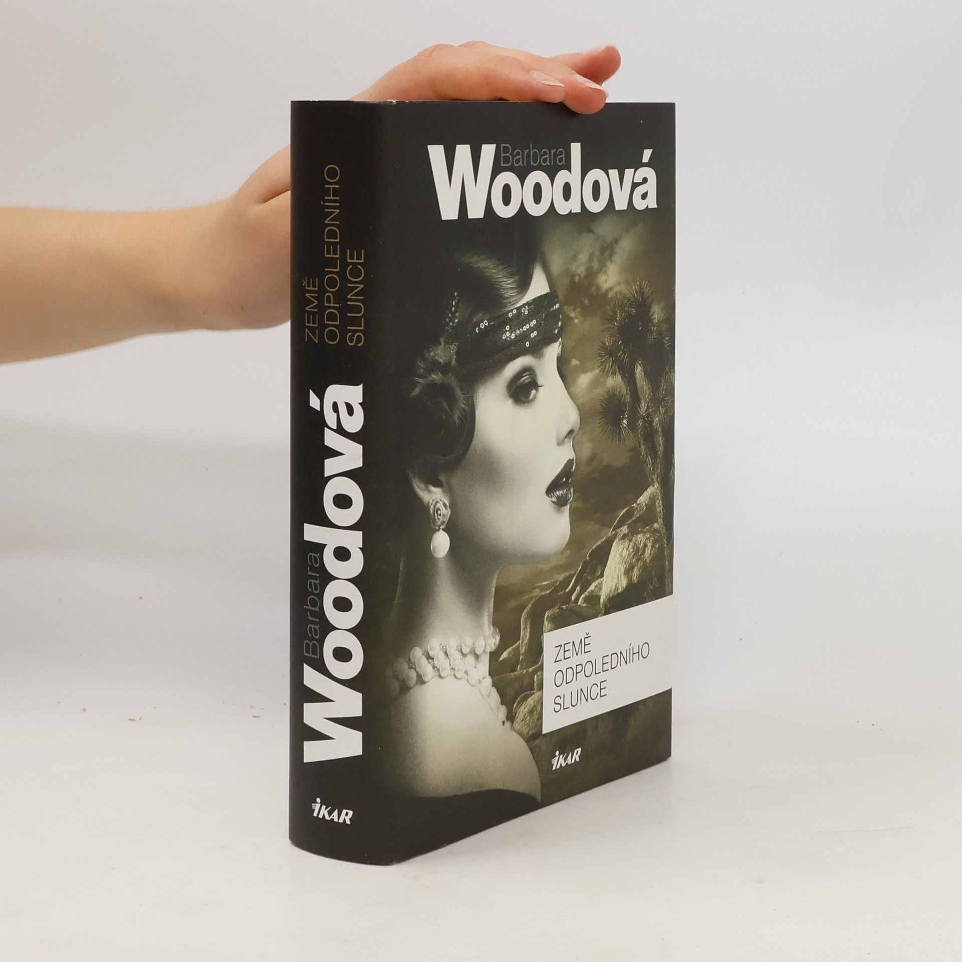 Barbara Wood Země odpoledního slunce