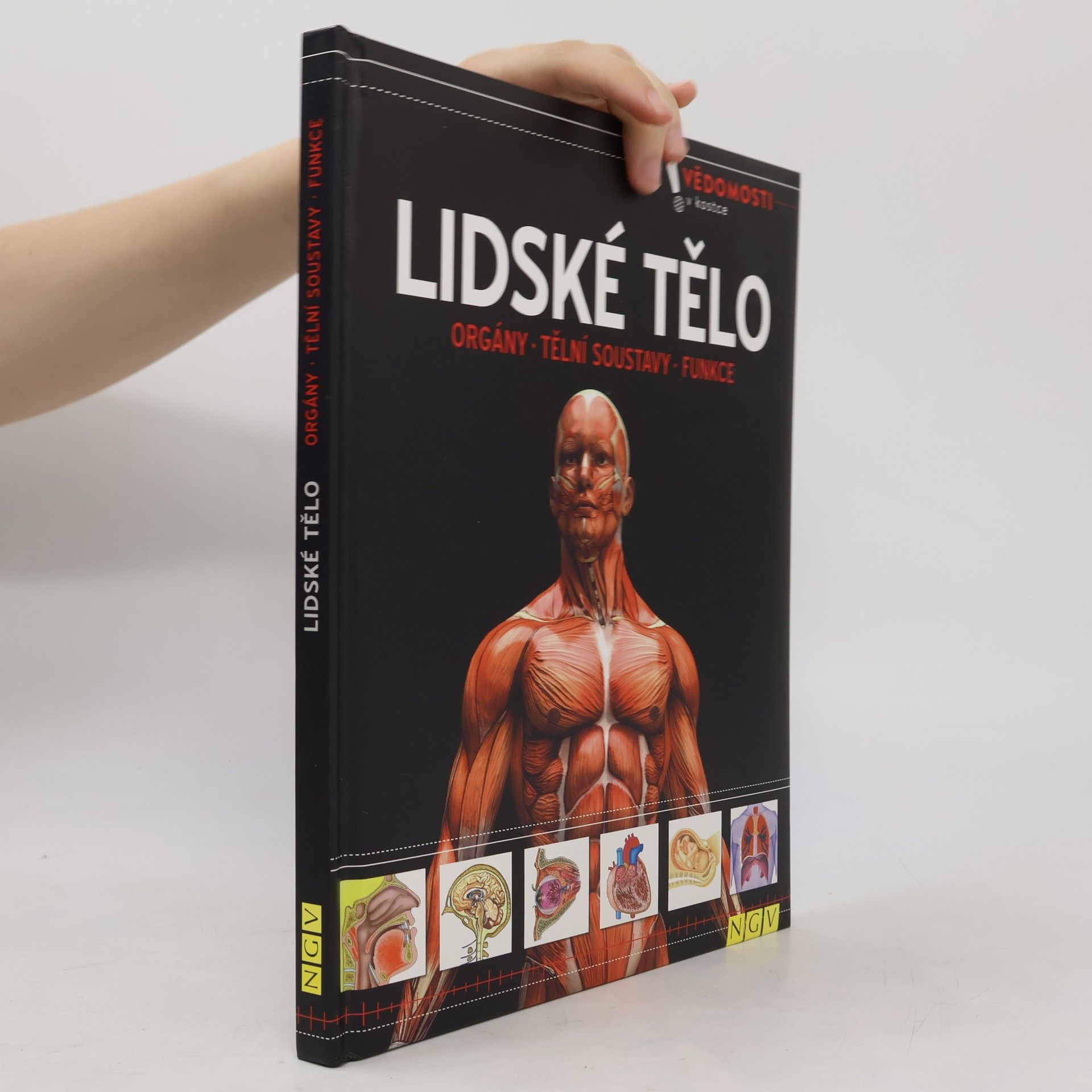 Kolektiv autorů Lidské tělo