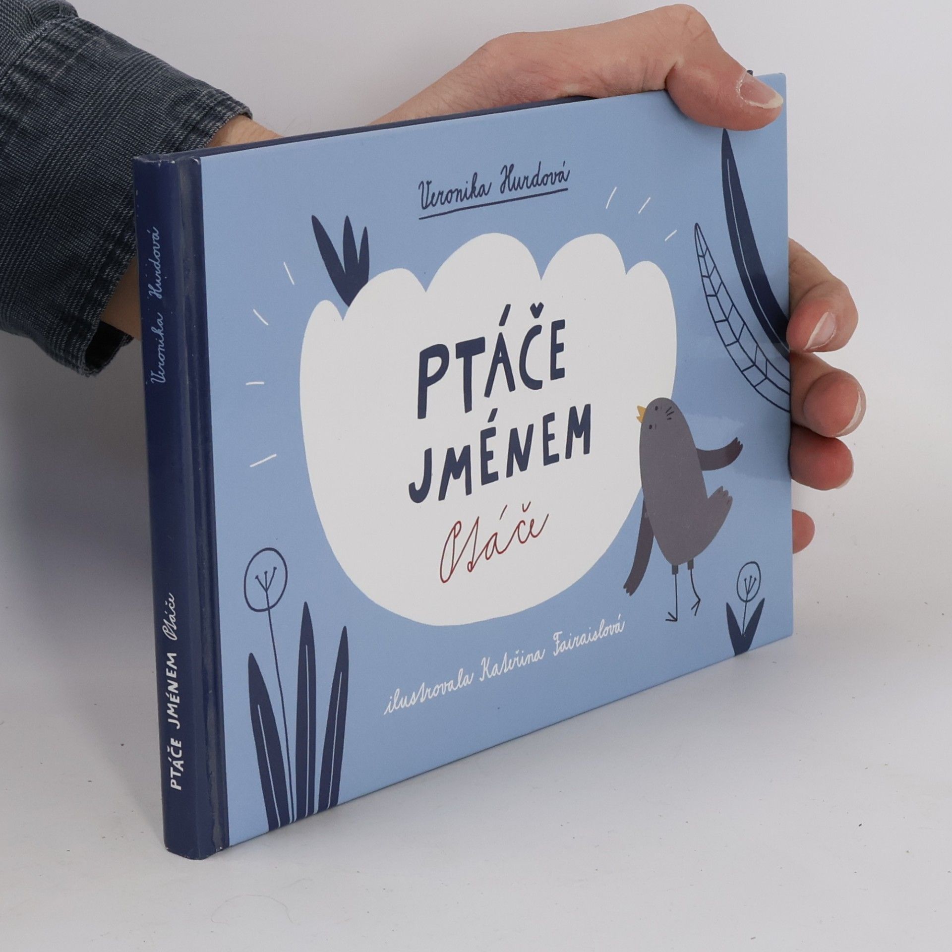 Veronika Hurdová Ptáče jménem Ptáče