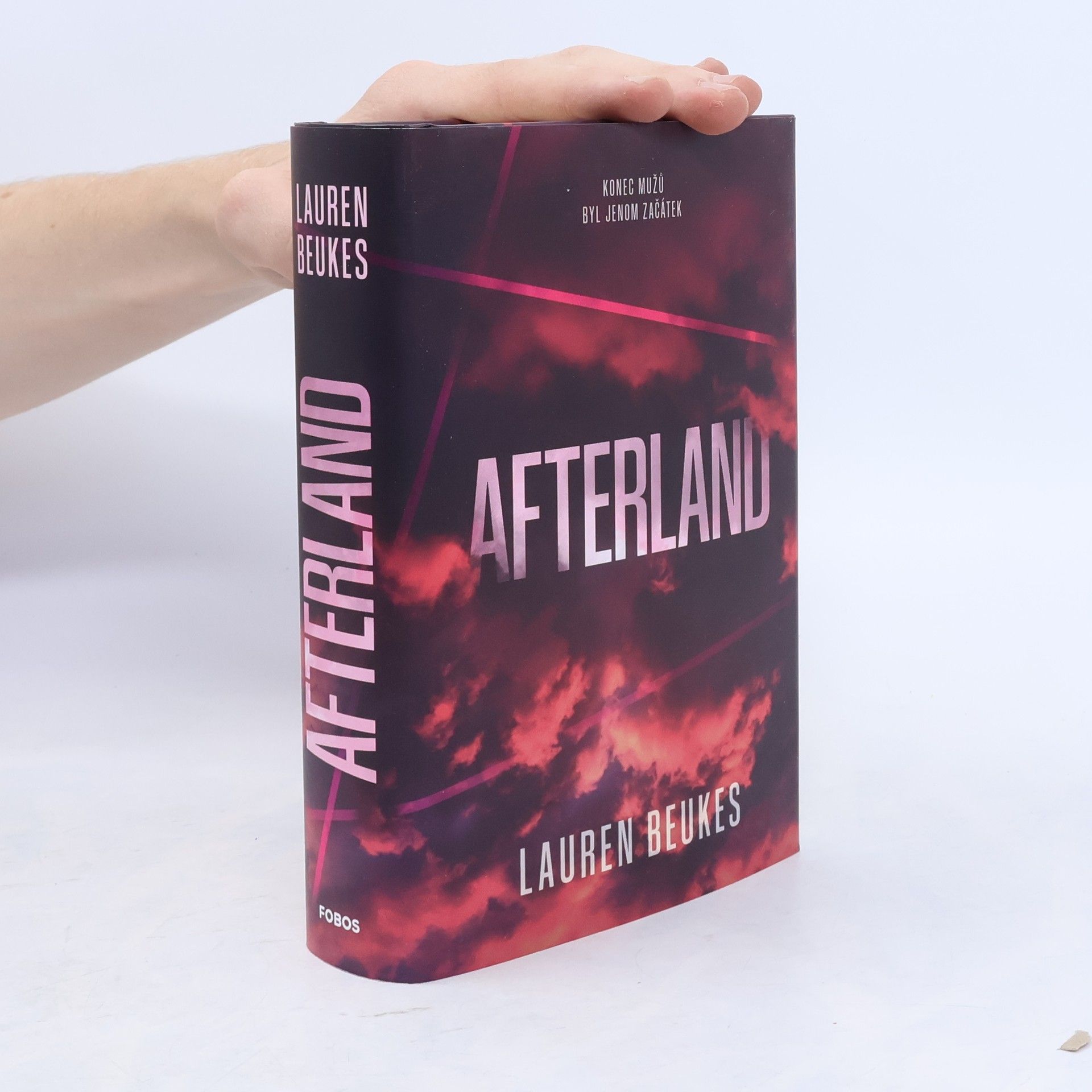 Lauren Beukes Afterland