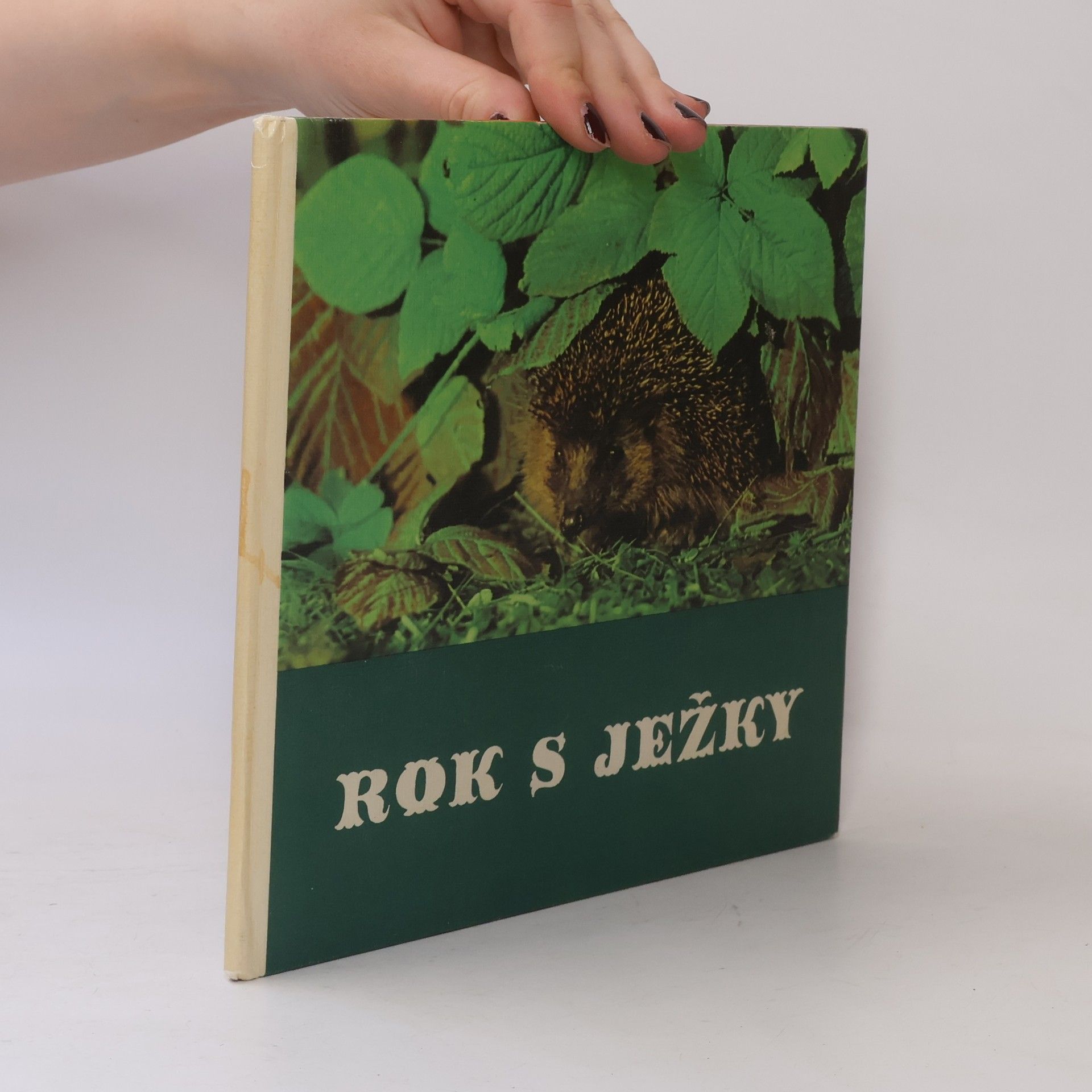 Friedrich W. Stöcker Rok s ježky