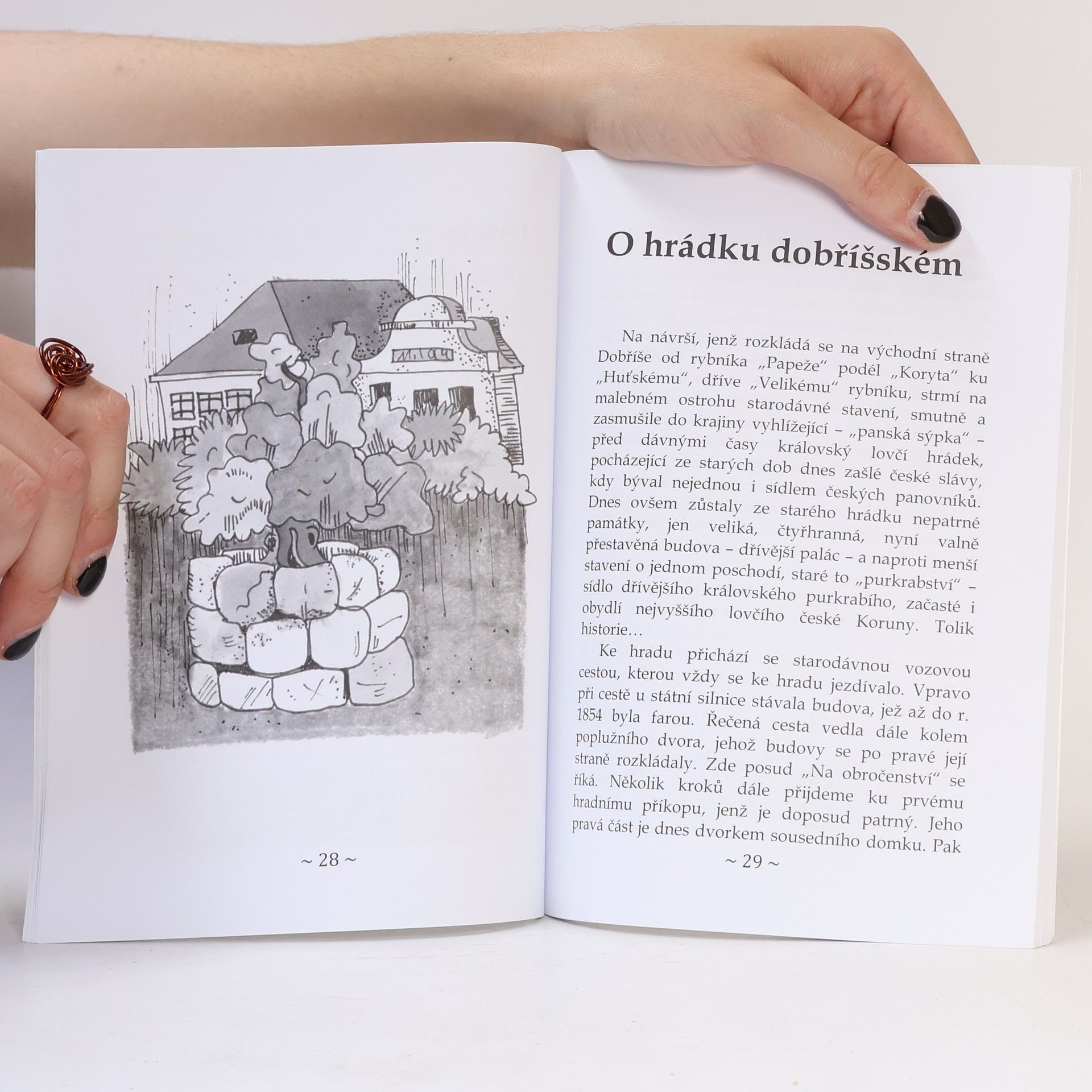 Ludvík Kopáček Nejstarší pověsti města Dobříše a okolí