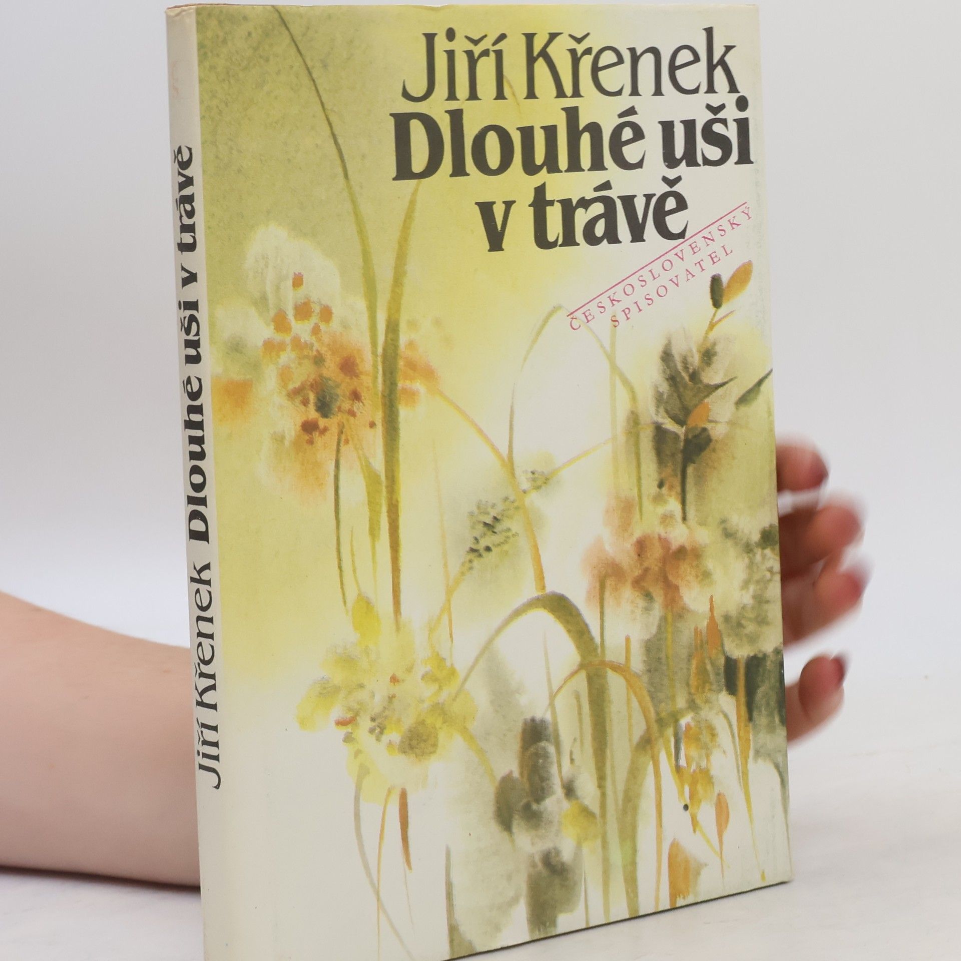 Dlouhé uši v trávě