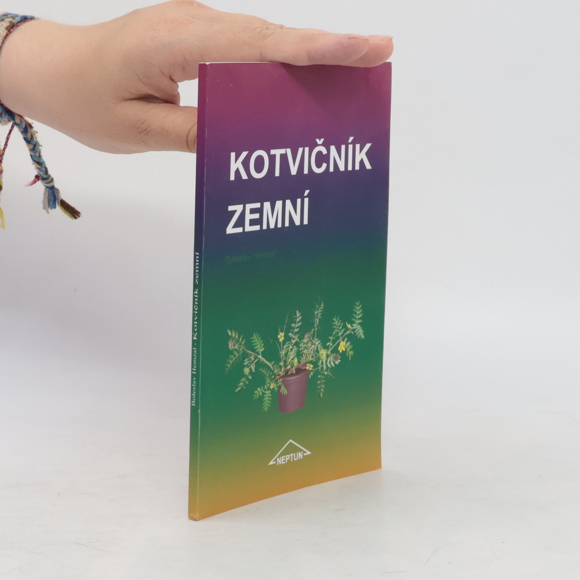 Kotvičník zemní