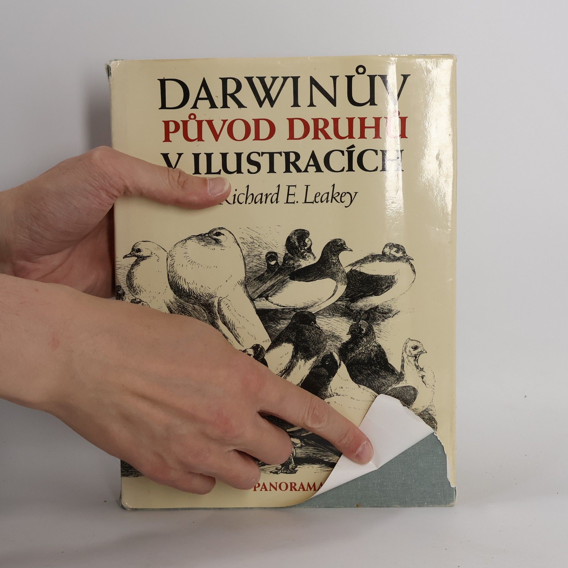 Charles Darwin Darwinův původ druhů v ilustracích