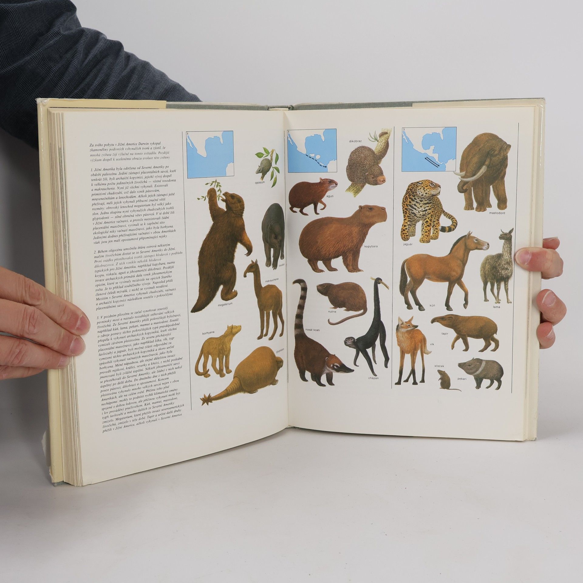 Charles Darwin Darwinův původ druhů v ilustracích