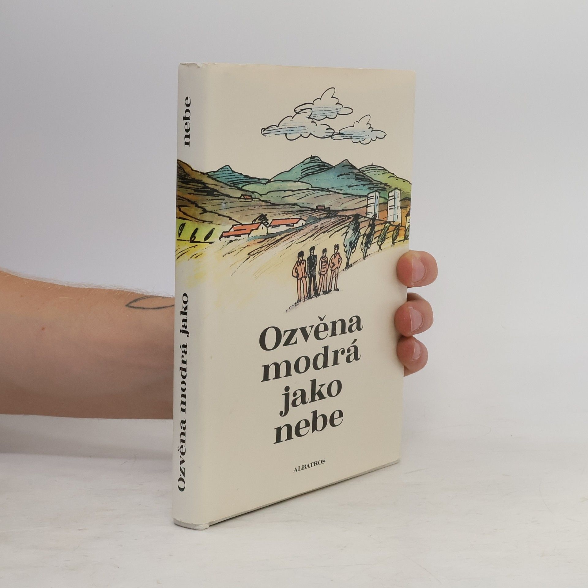 Autorenkollektiv Ozvěna modrá jako nebe. Sborník povídek o dětech