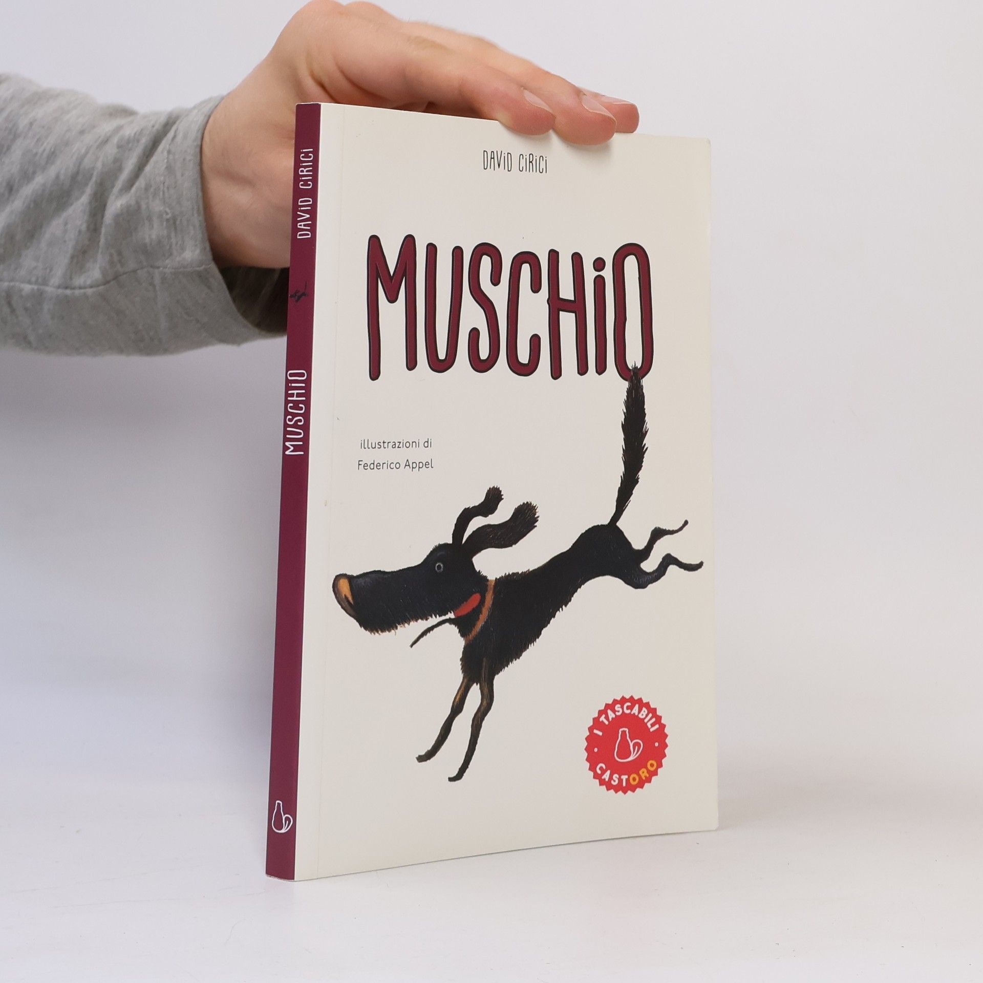 Federico Appel Muschio