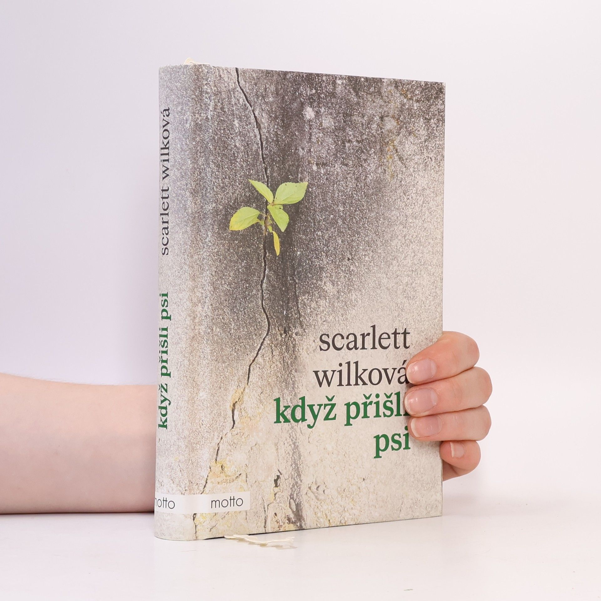 Scarlett Wilková Když přišli psi
