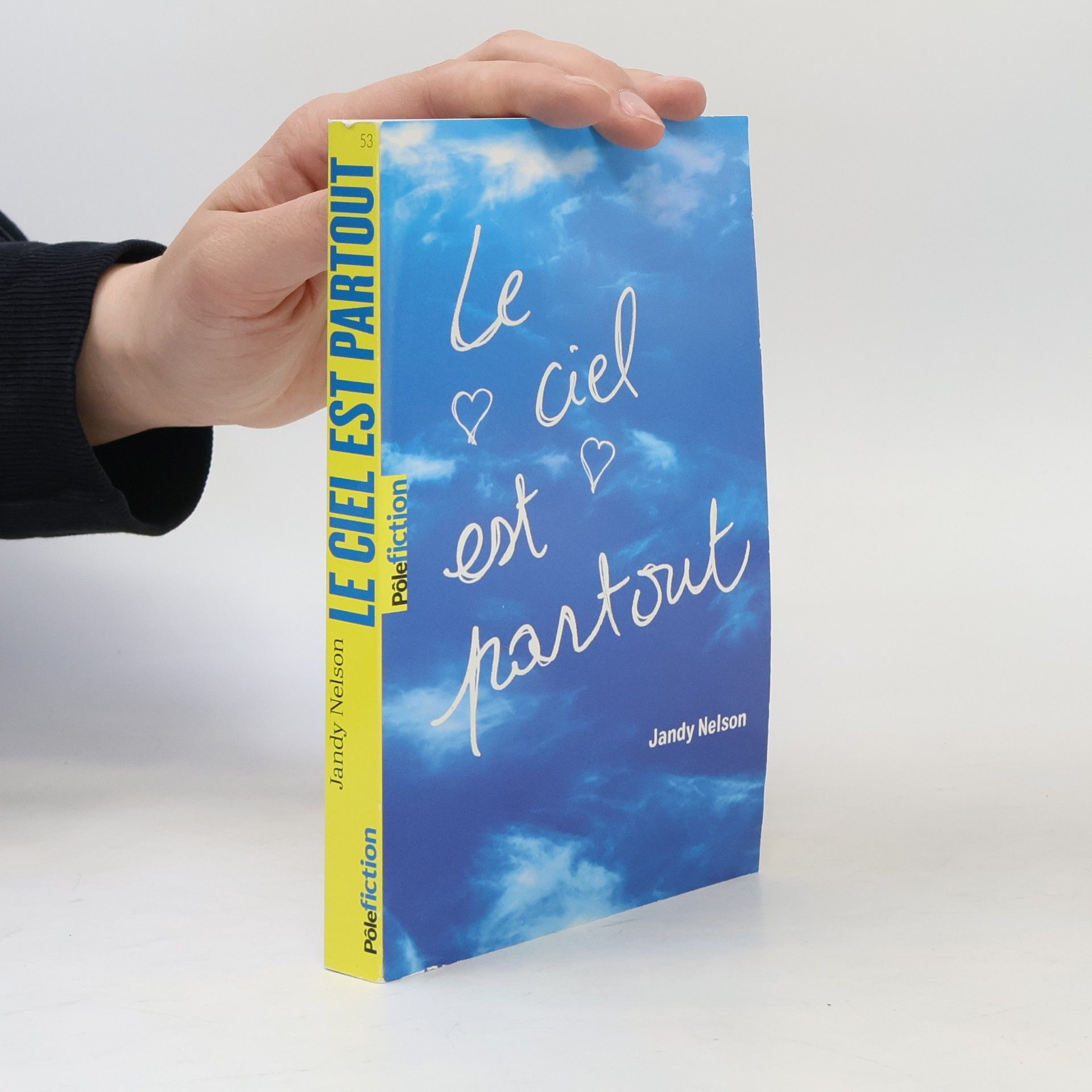 Jandy Nelson Le ciel est partout
