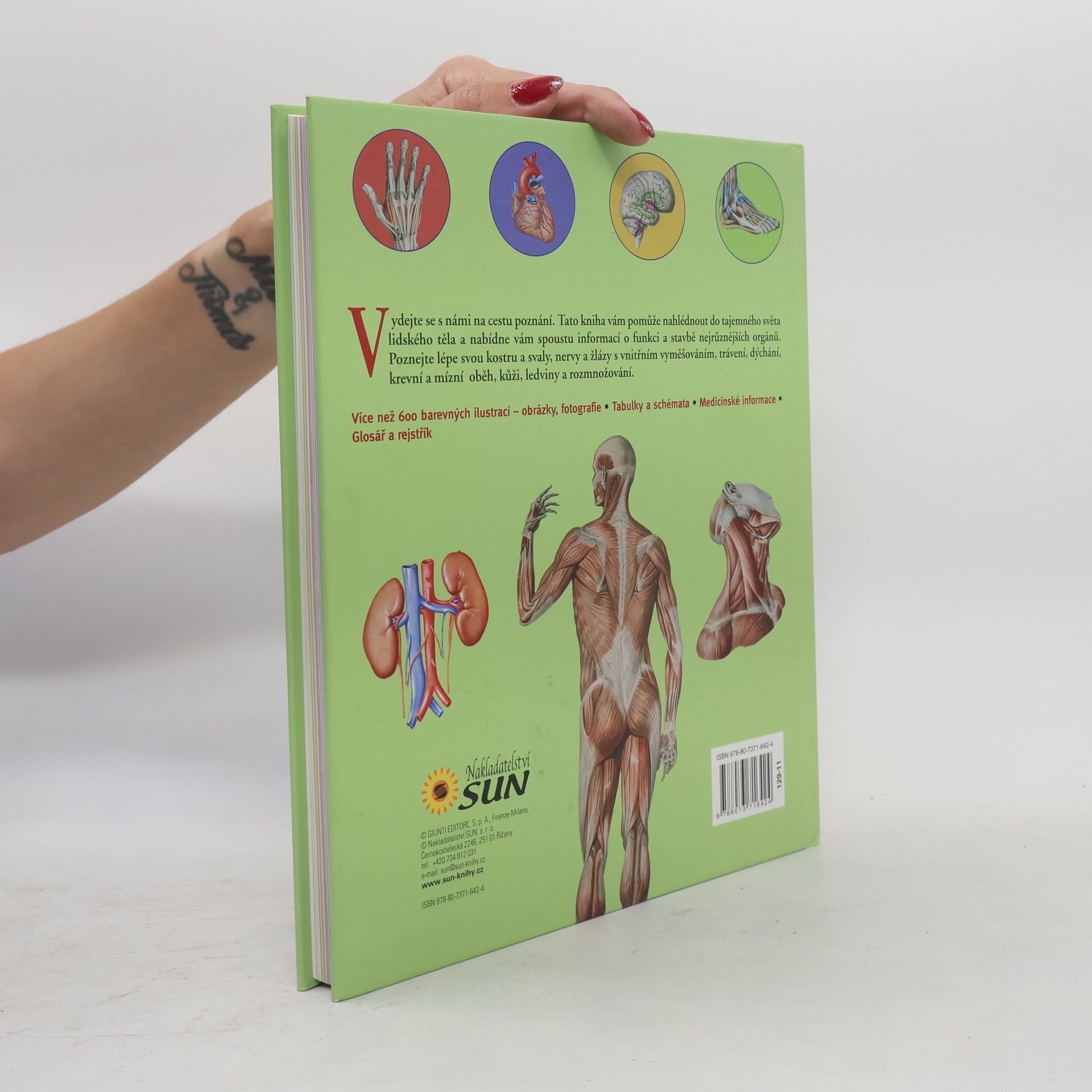Adriana Rigutti Ilustrovaný atlas anatomie
